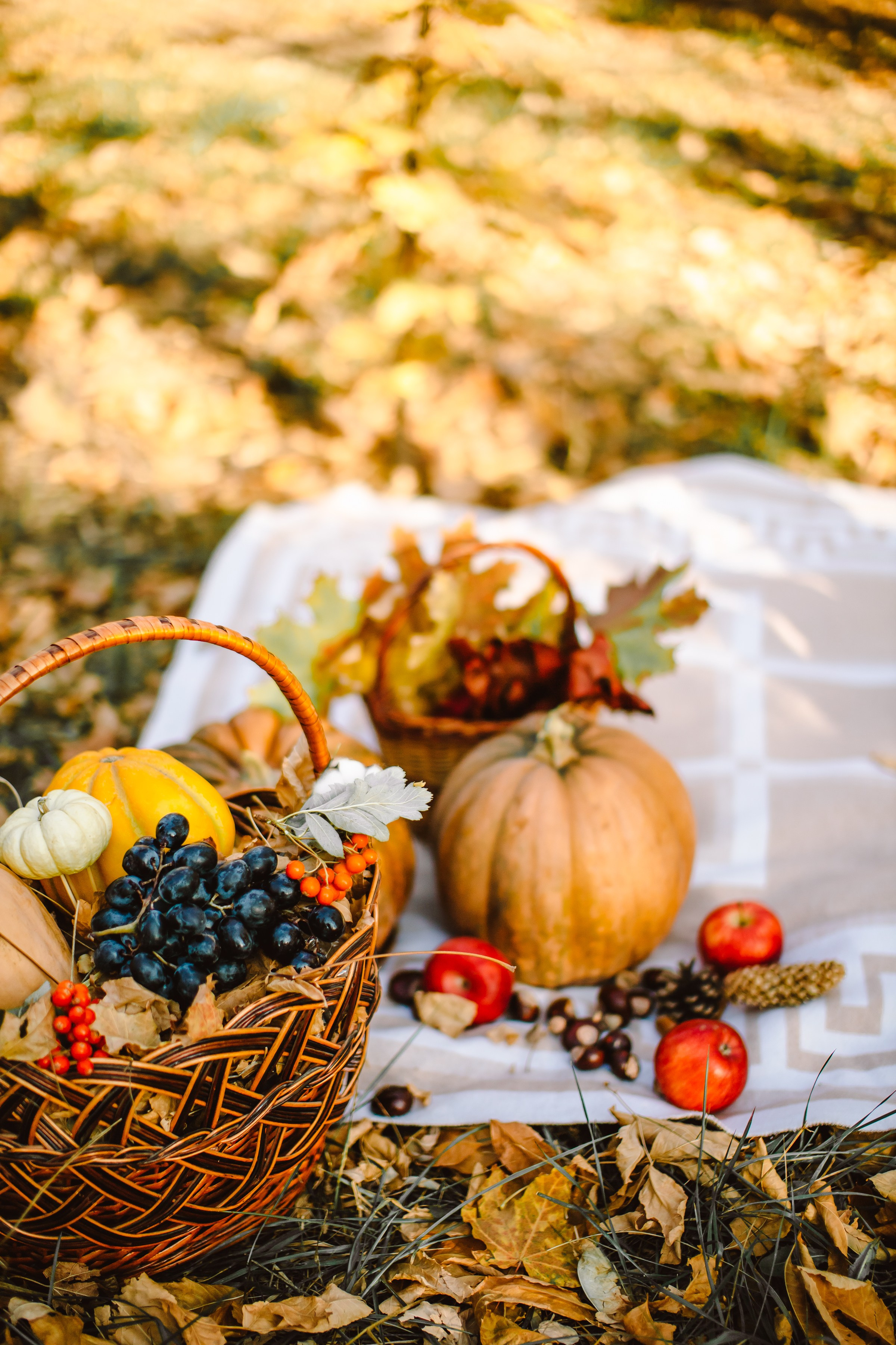 Первый год Мирославы. Семейный фотограф в Волгодонске Краченцева Анна