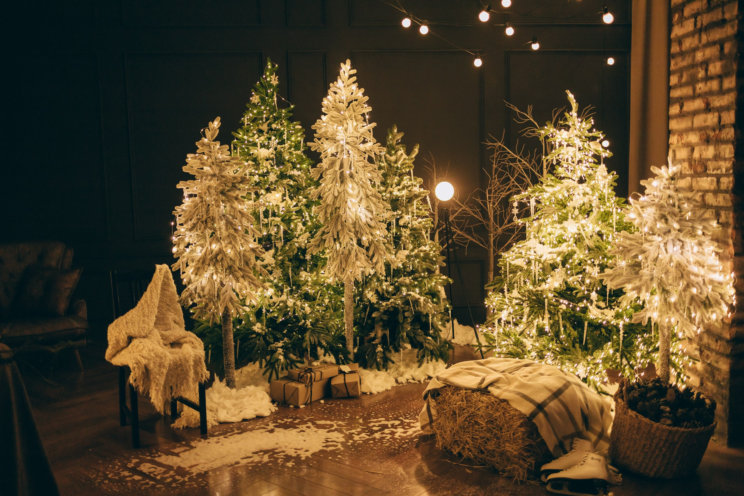 Стас и Саша. Семейный фотограф в Волгодонске Краченцева Анна