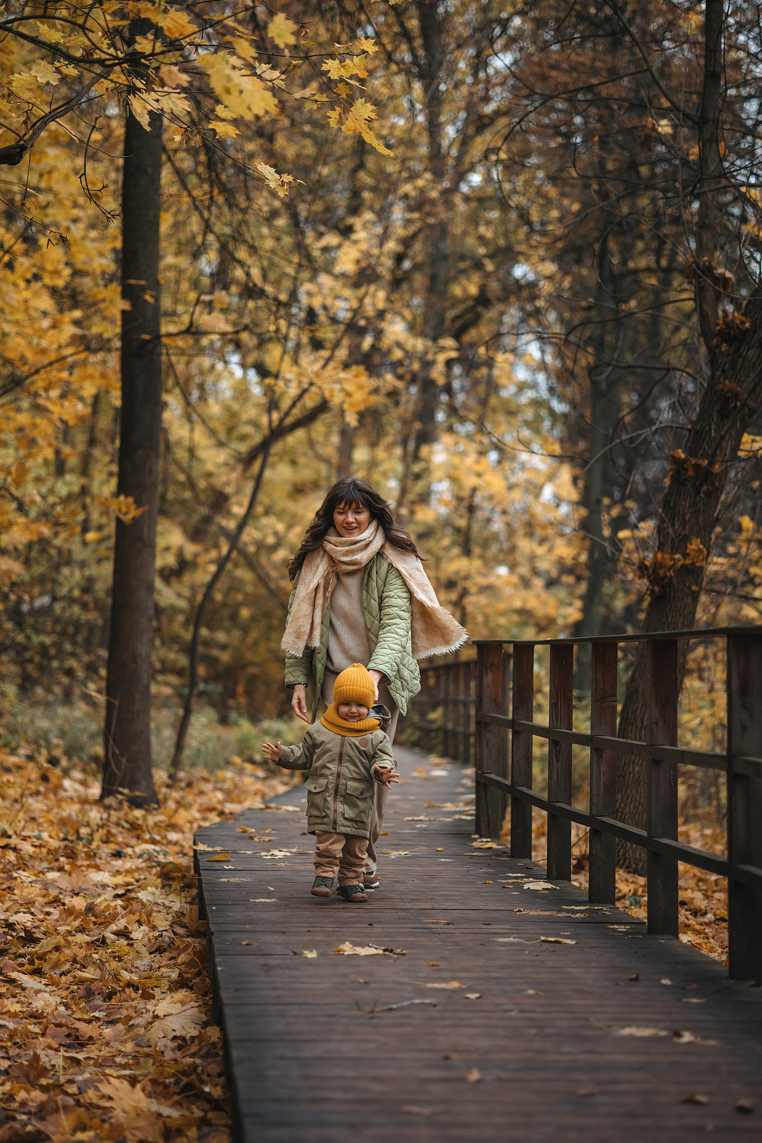Осень в Нескучном саду (в обработке). Фотограф Анималист в Москве Анастасия Жучкова