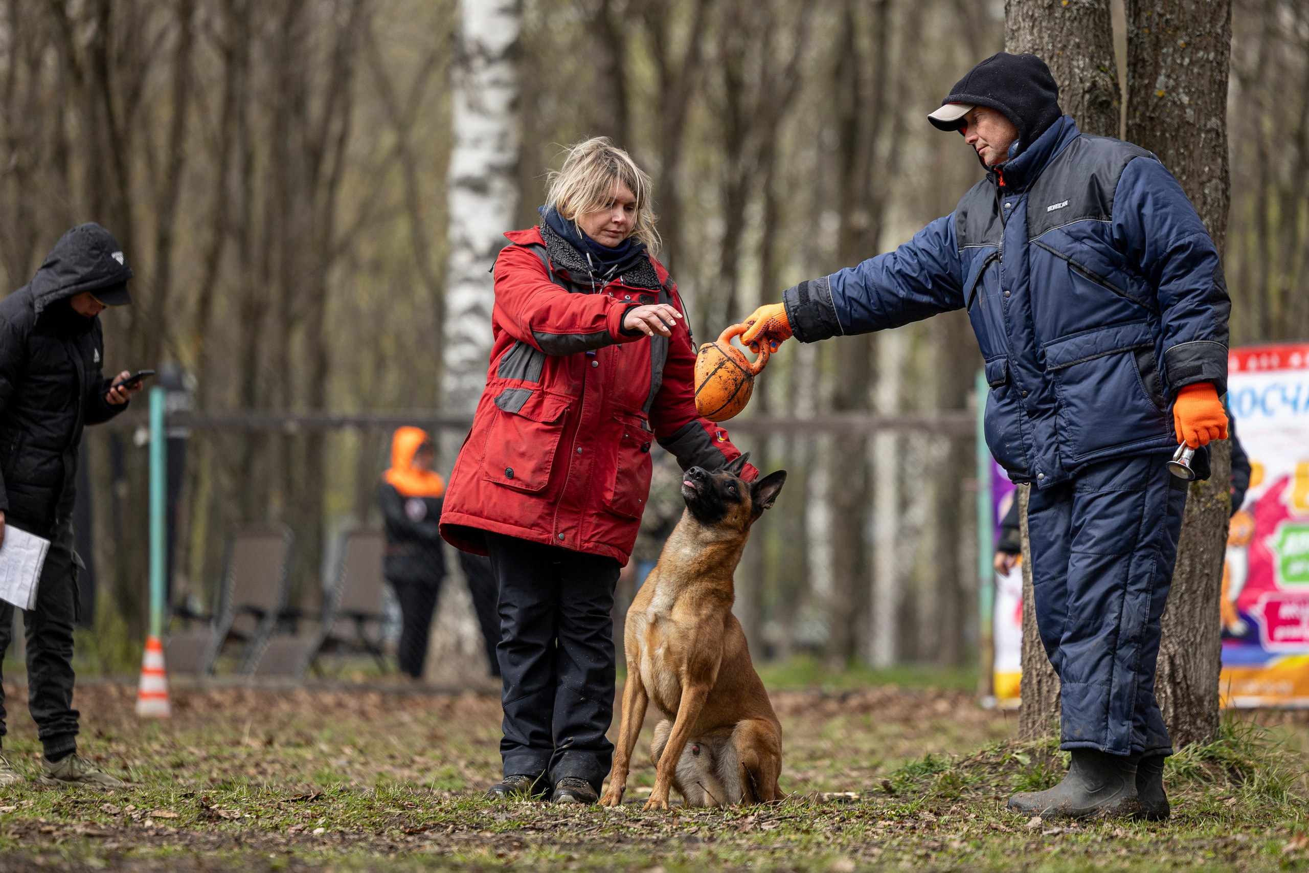 Квалификационные состязания по мондьорингу г. Вологда 11.05.24. Фотограф-анималист Анна Маринич
