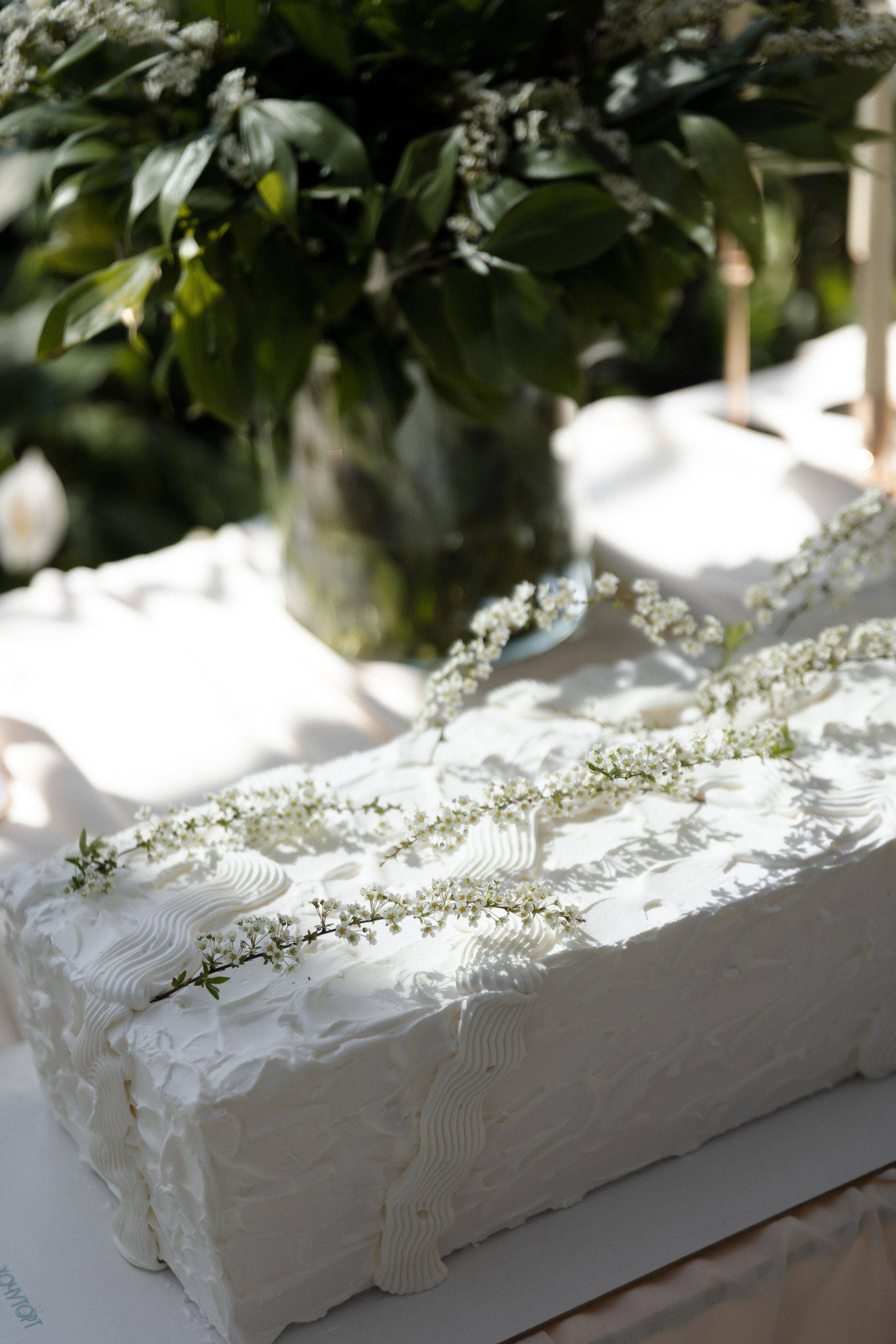 Михаил и Марина. Фотограф Тюмень Пушковская Кристина