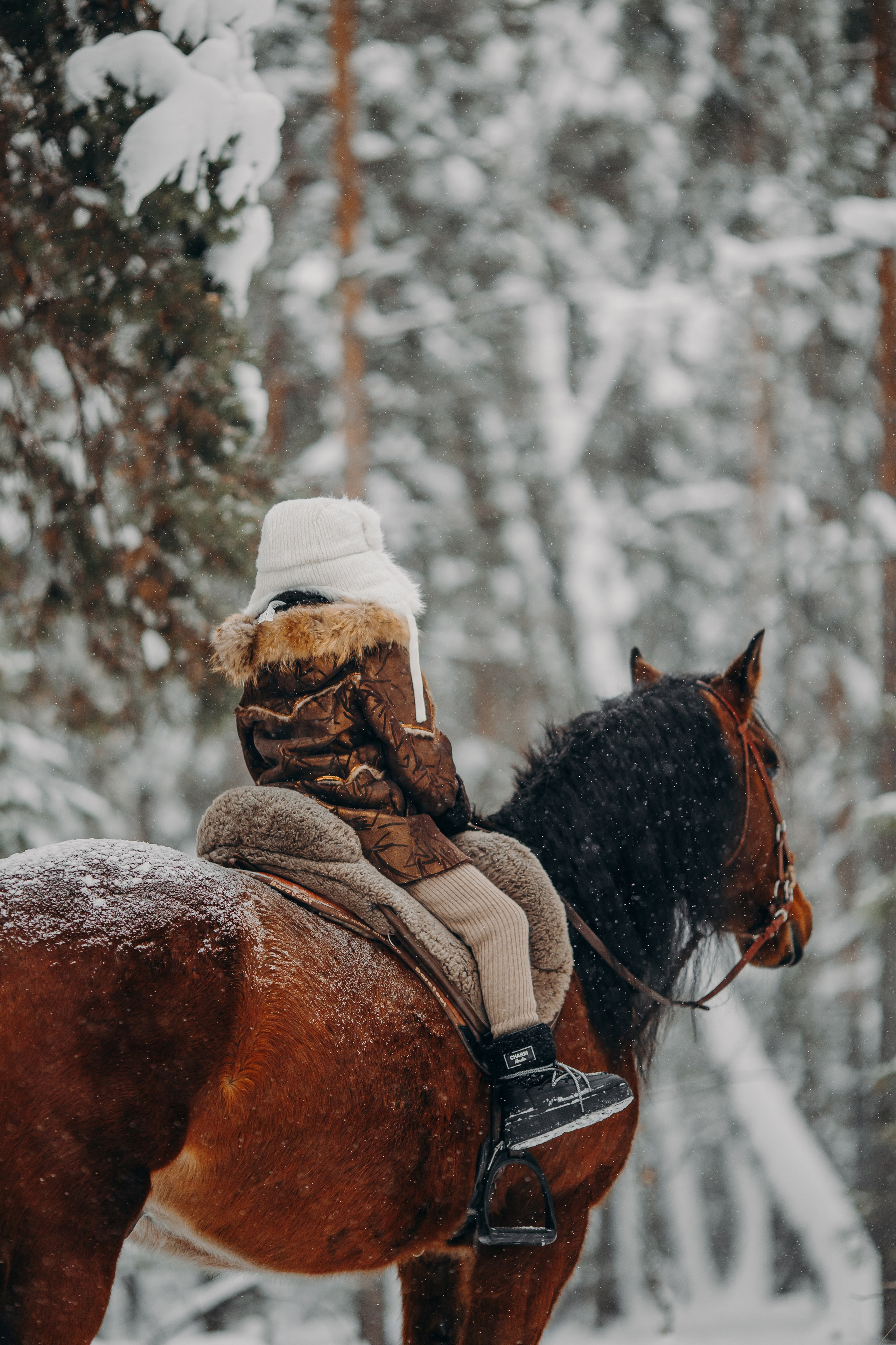 Тоша и баранки. Анна Молчанова конный фотограф в Тюмени | фотосессии с лошадьми Тюмень