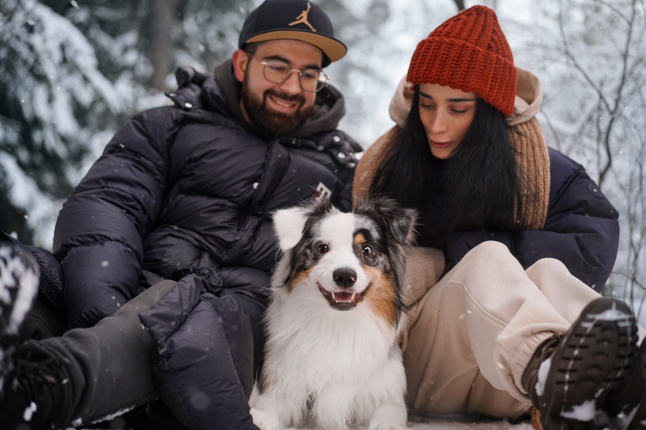 Антон Аиша и Римус. Фотограф-анималист в Санкт-Петербурге Яна Мартынова