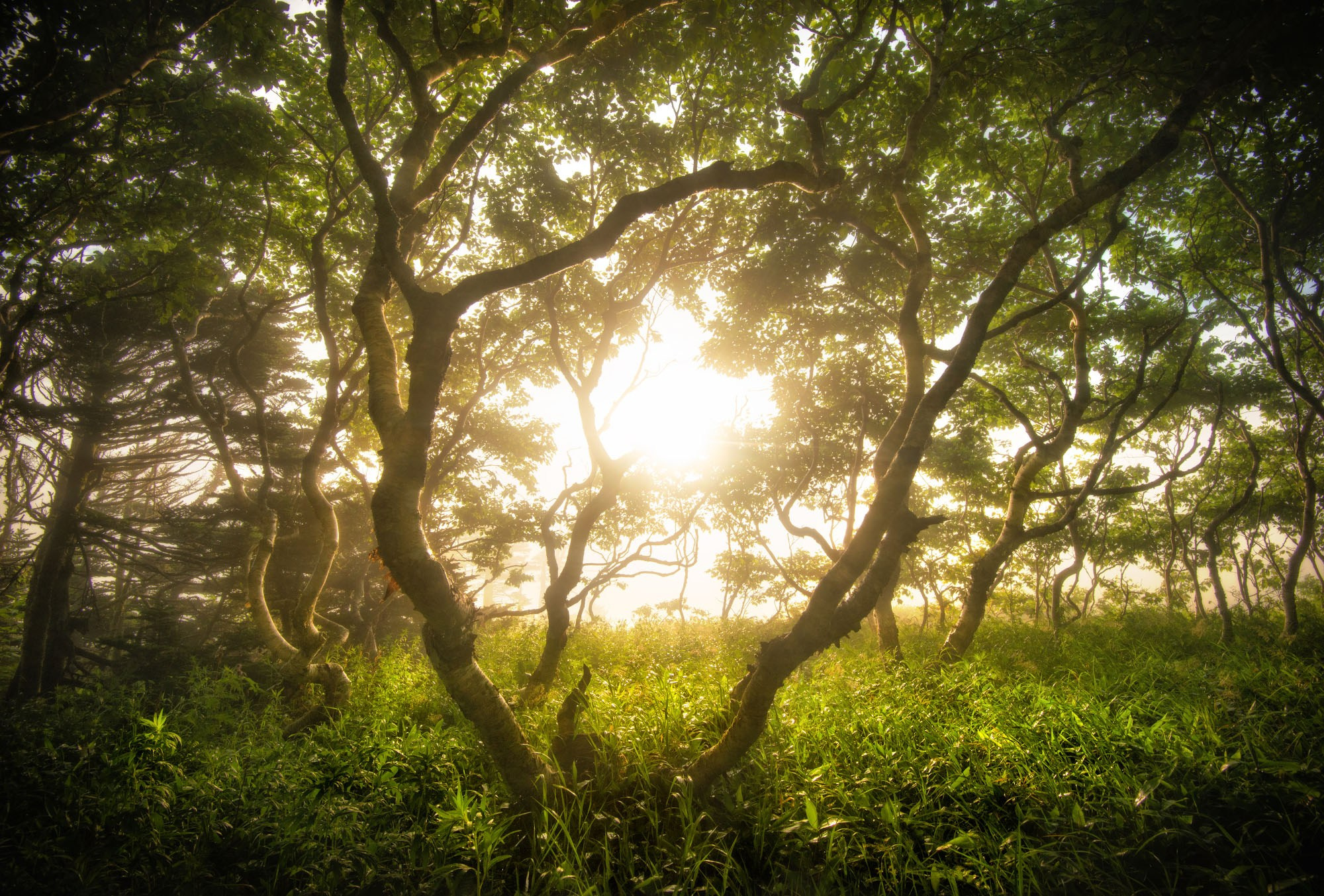 Фотографии южные Курилы