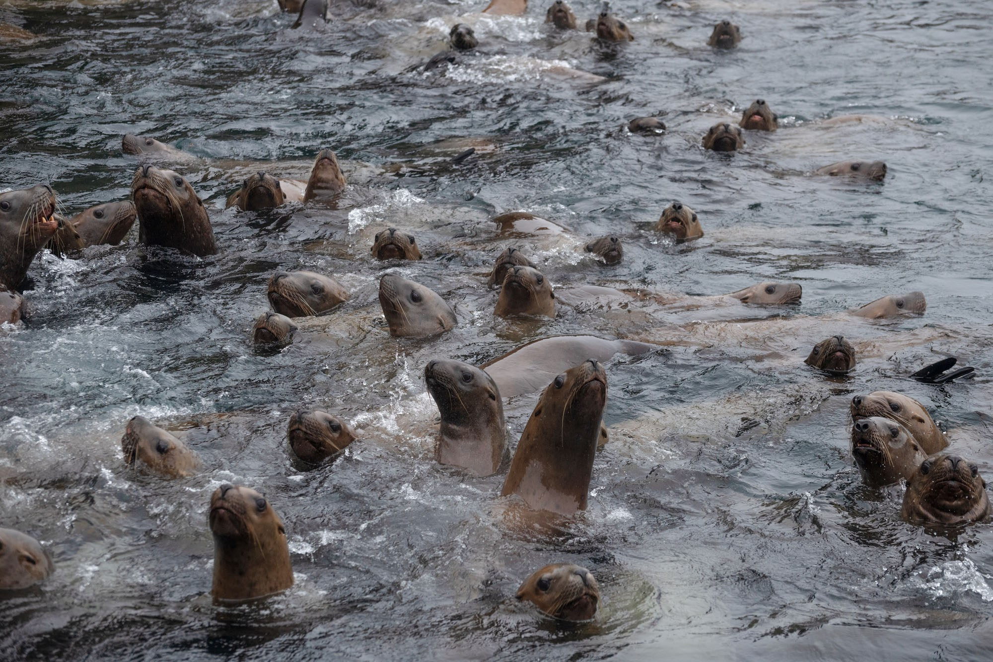 Фототур на северные Курилы 2026