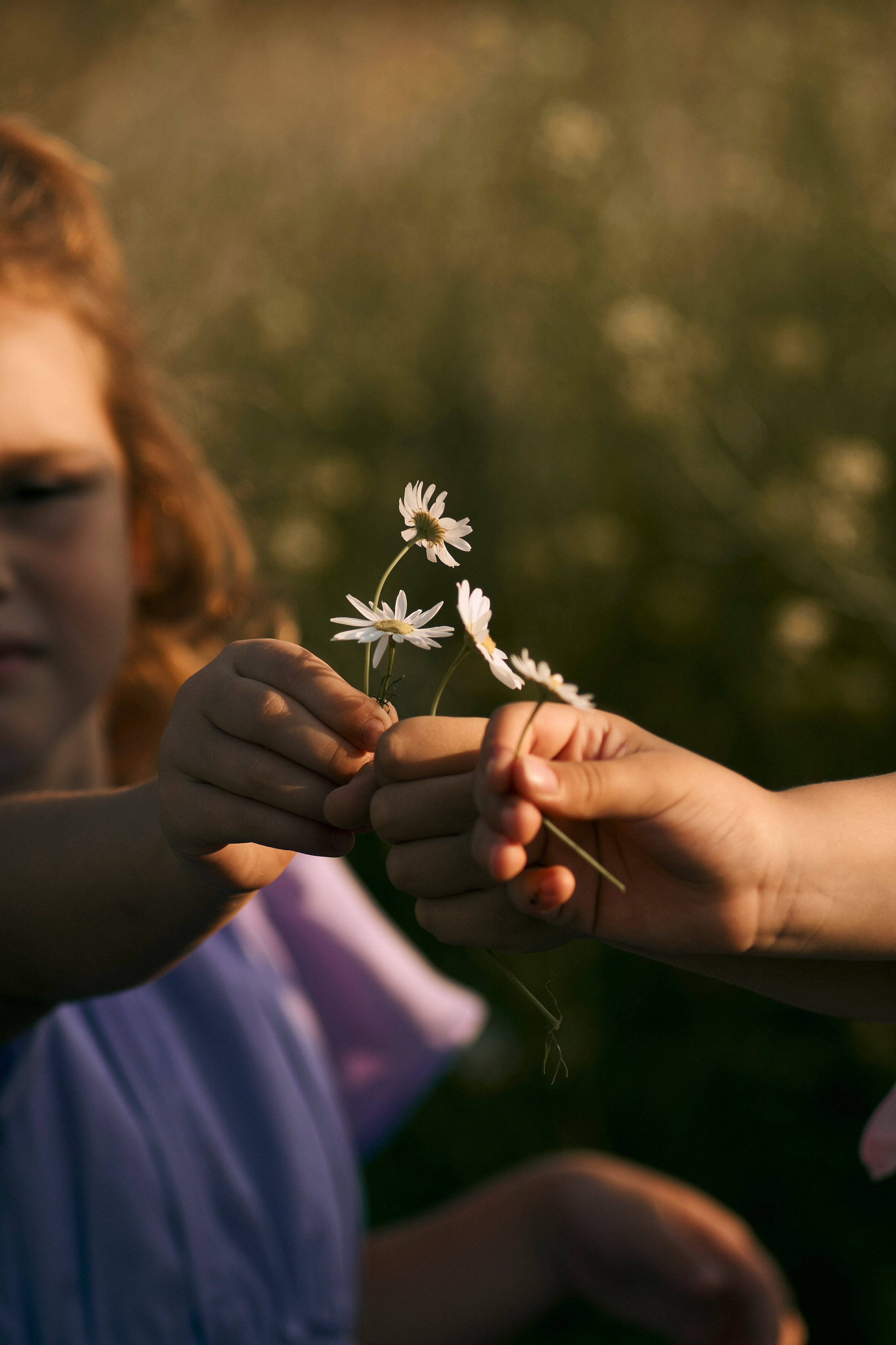Семейный фотограф в Москве