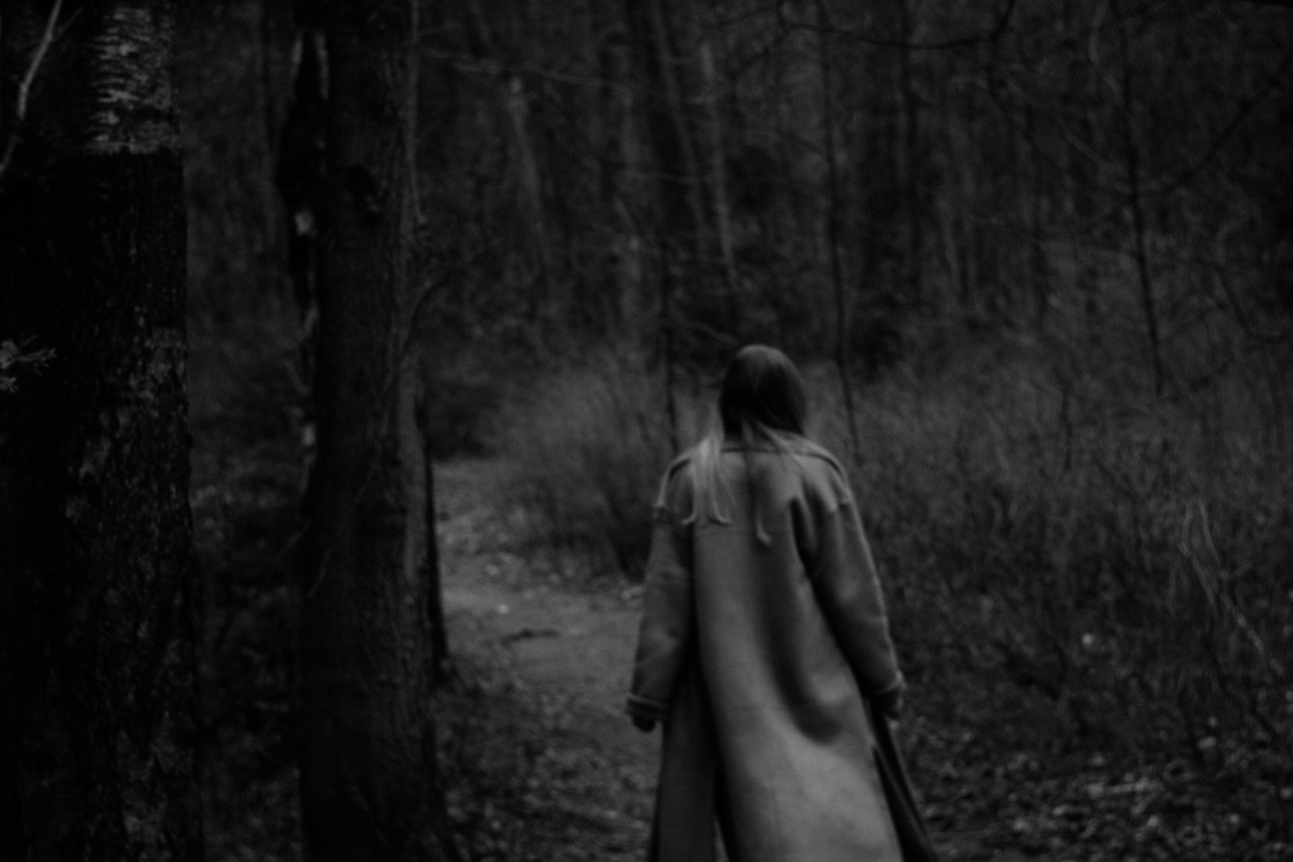 FOREST. Портретный фотограф DanilNabody