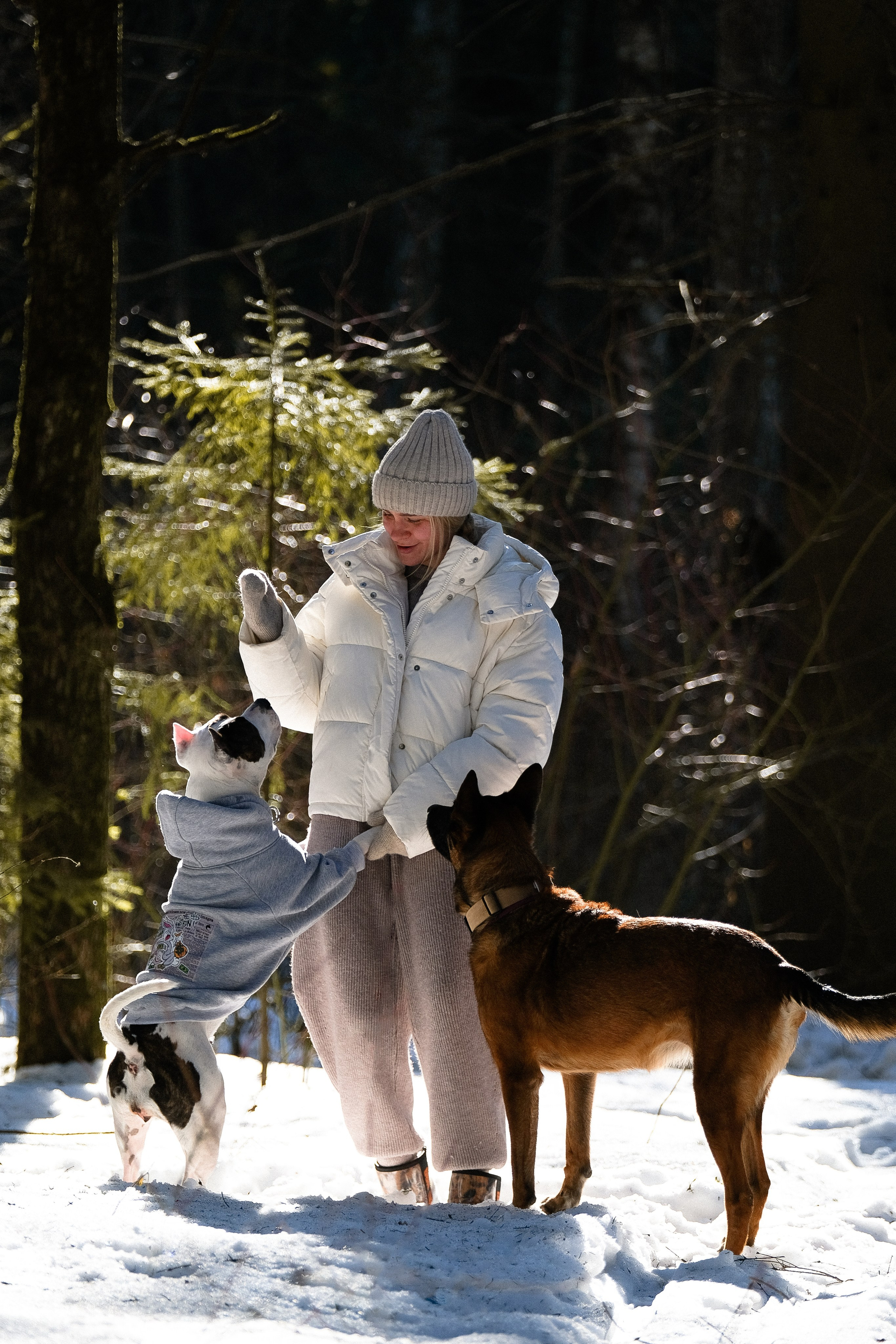 Женя, Афра и Молли. Фотограф и видеограф анималист Аганина Дарья