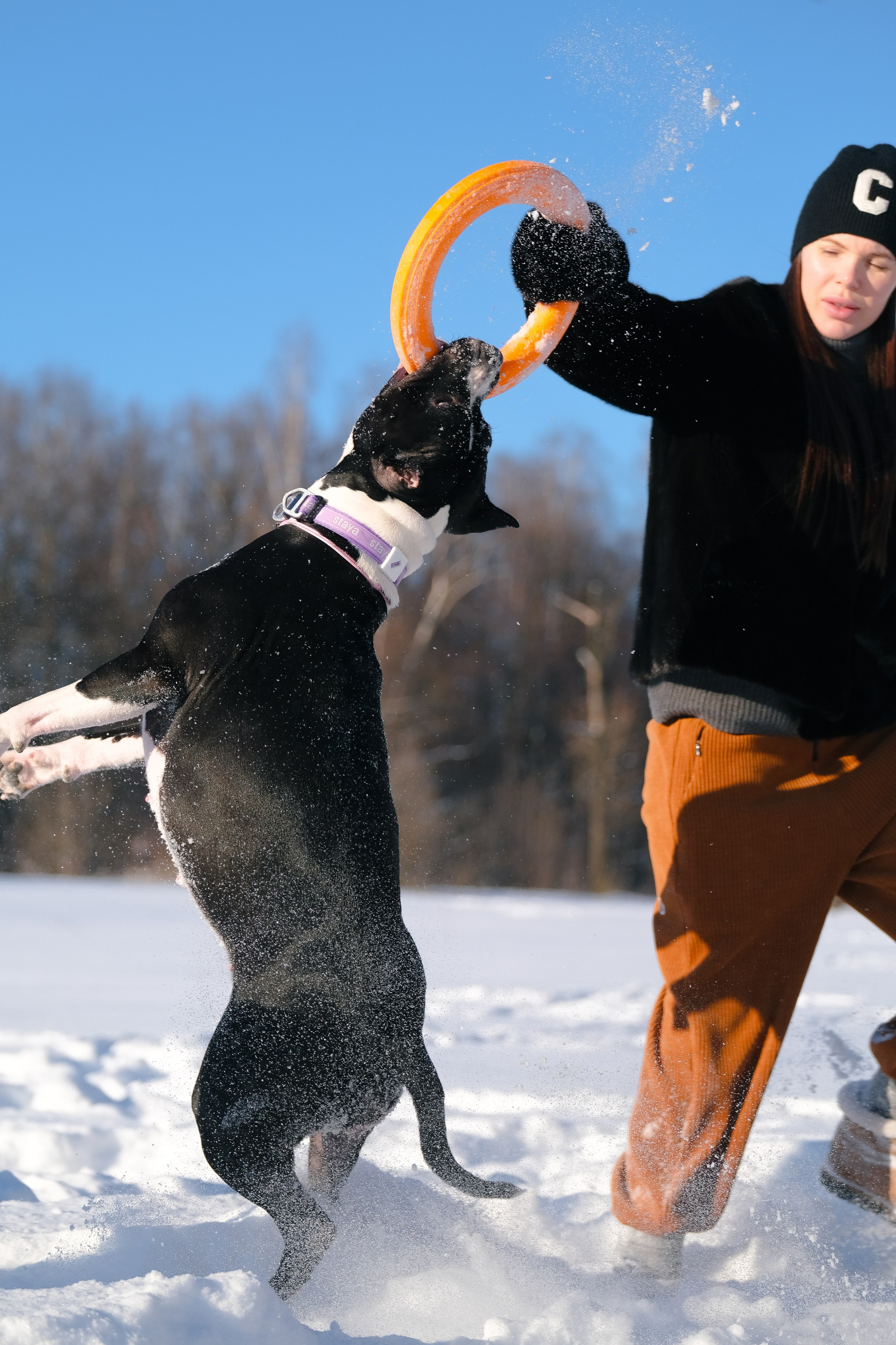 Баста и Эйгон. Фотограф и видеограф анималист Аганина Дарья