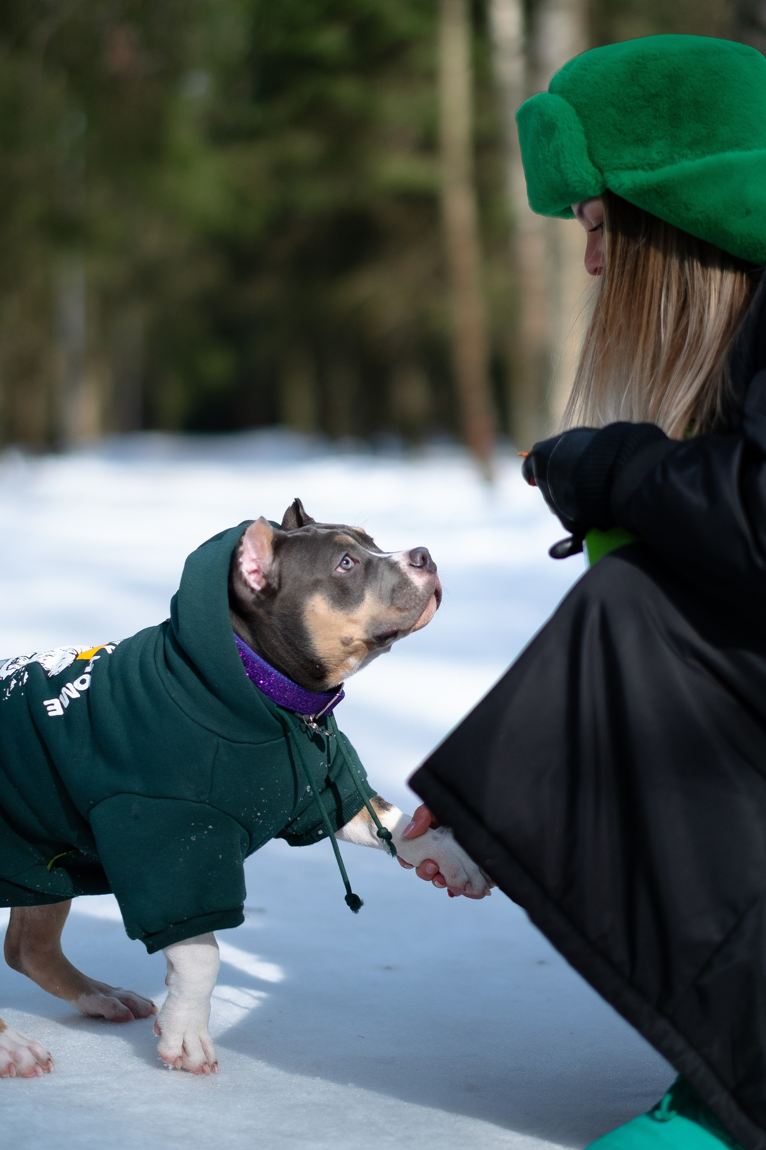 Валерия и Наган. Фотограф и видеограф анималист Аганина Дарья