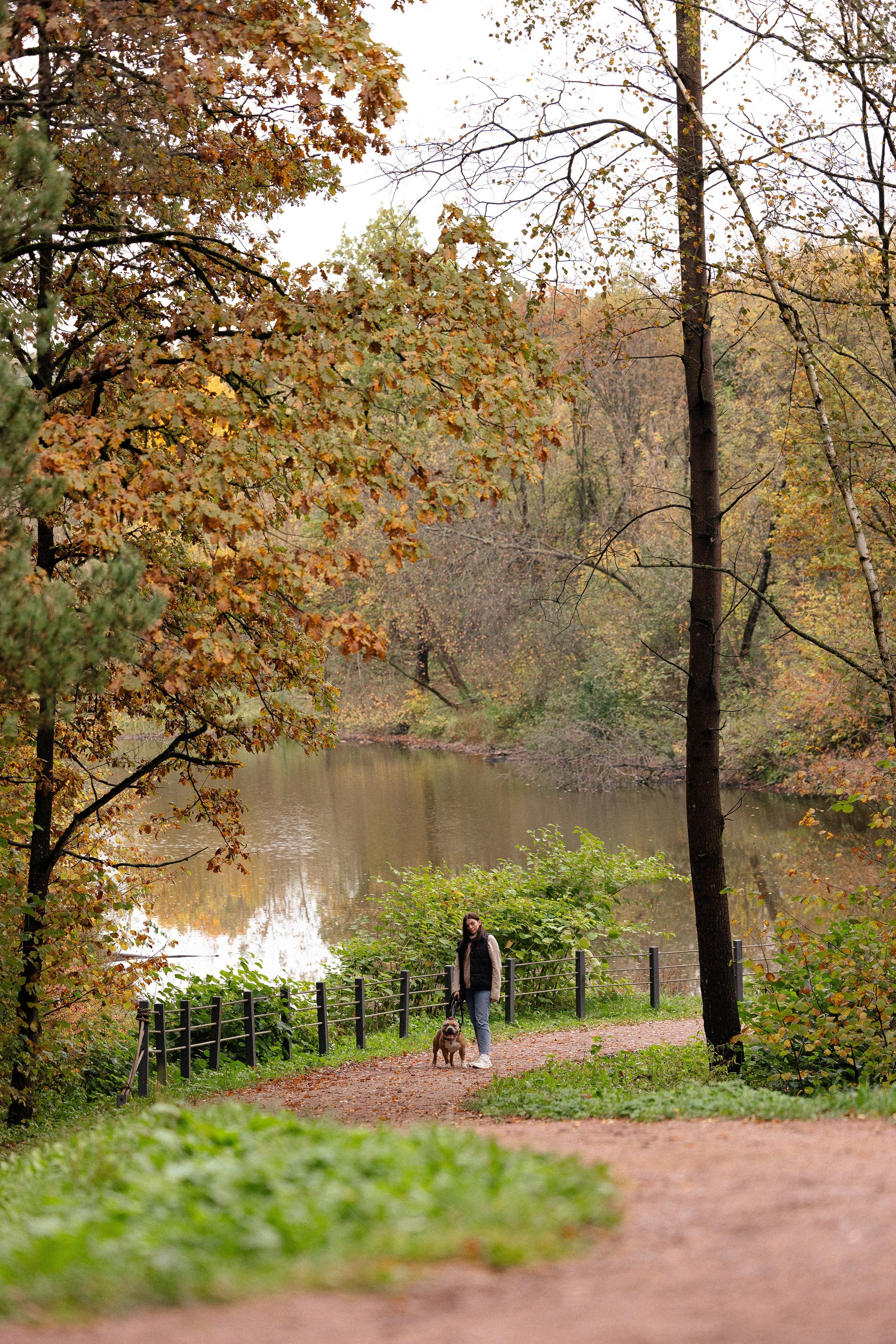 Алена и Тор. Фотограф и видеограф анималист Аганина Дарья