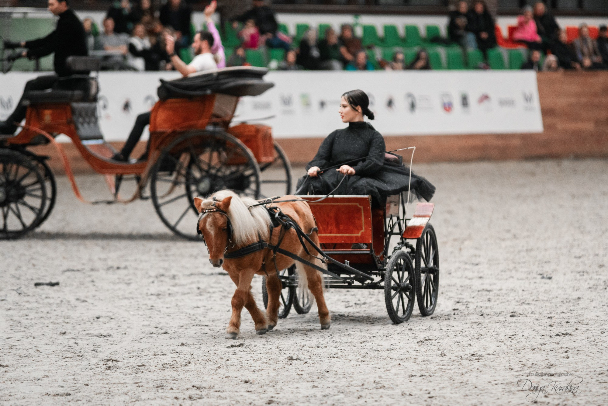 8-я международная выставка Конная Россия. Конный фотограф Куракина Дарья • Фотосессии с лошадьми