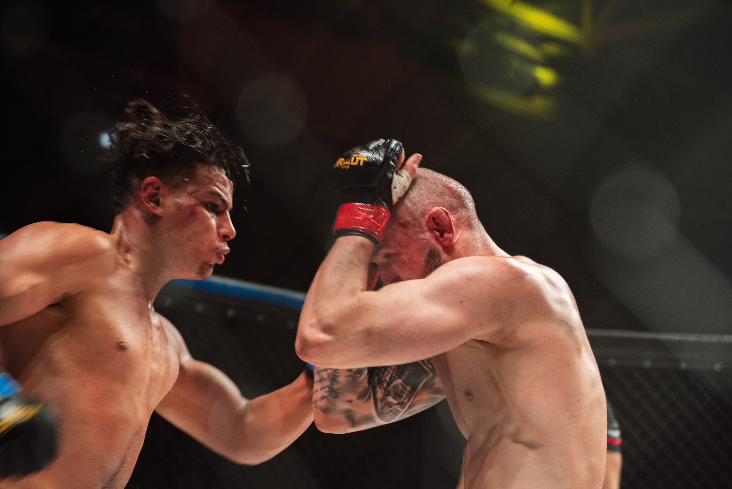 Miroslava Fight