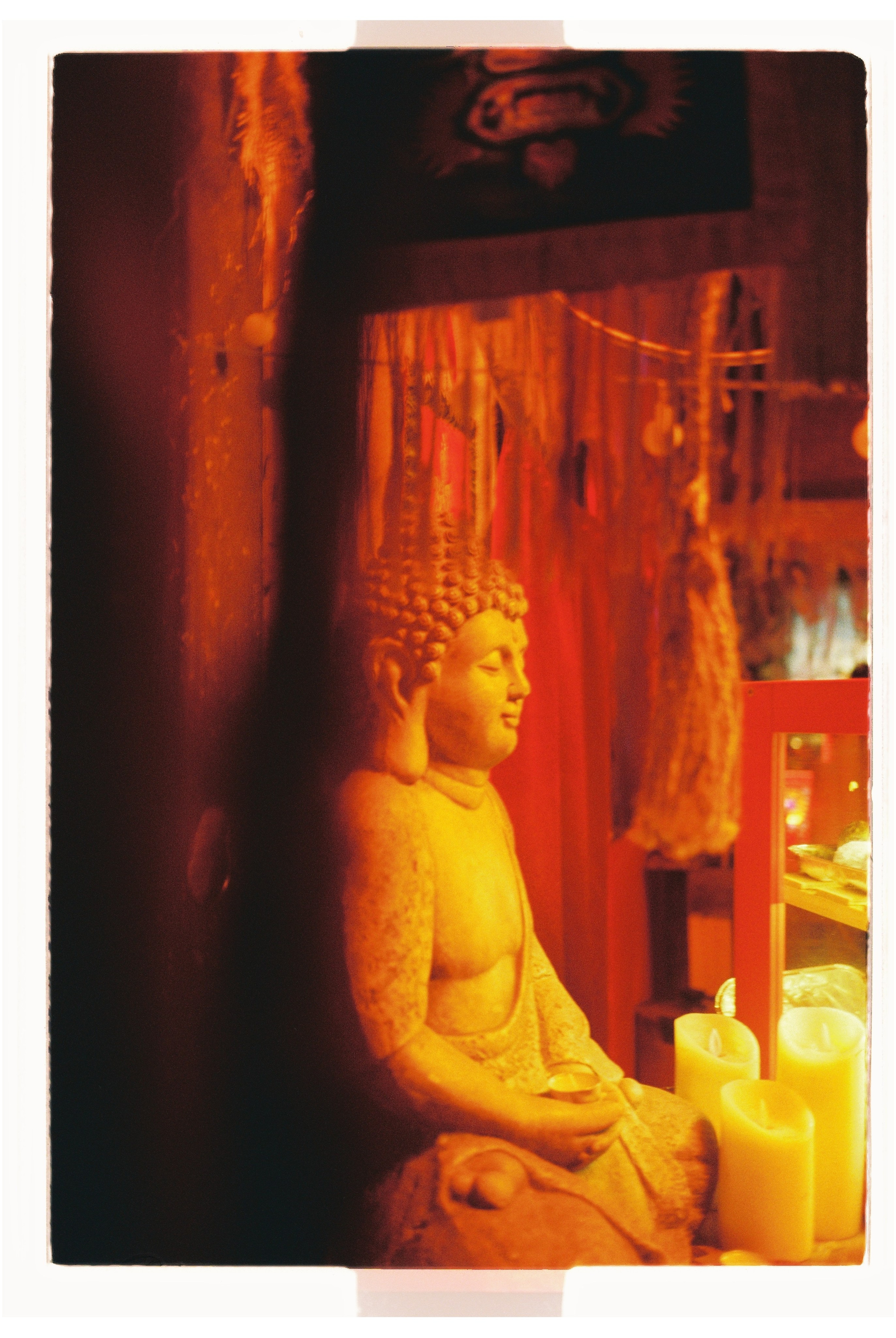 Signal 2024. @tomrus: Рустам Шагиморданов — фотограф