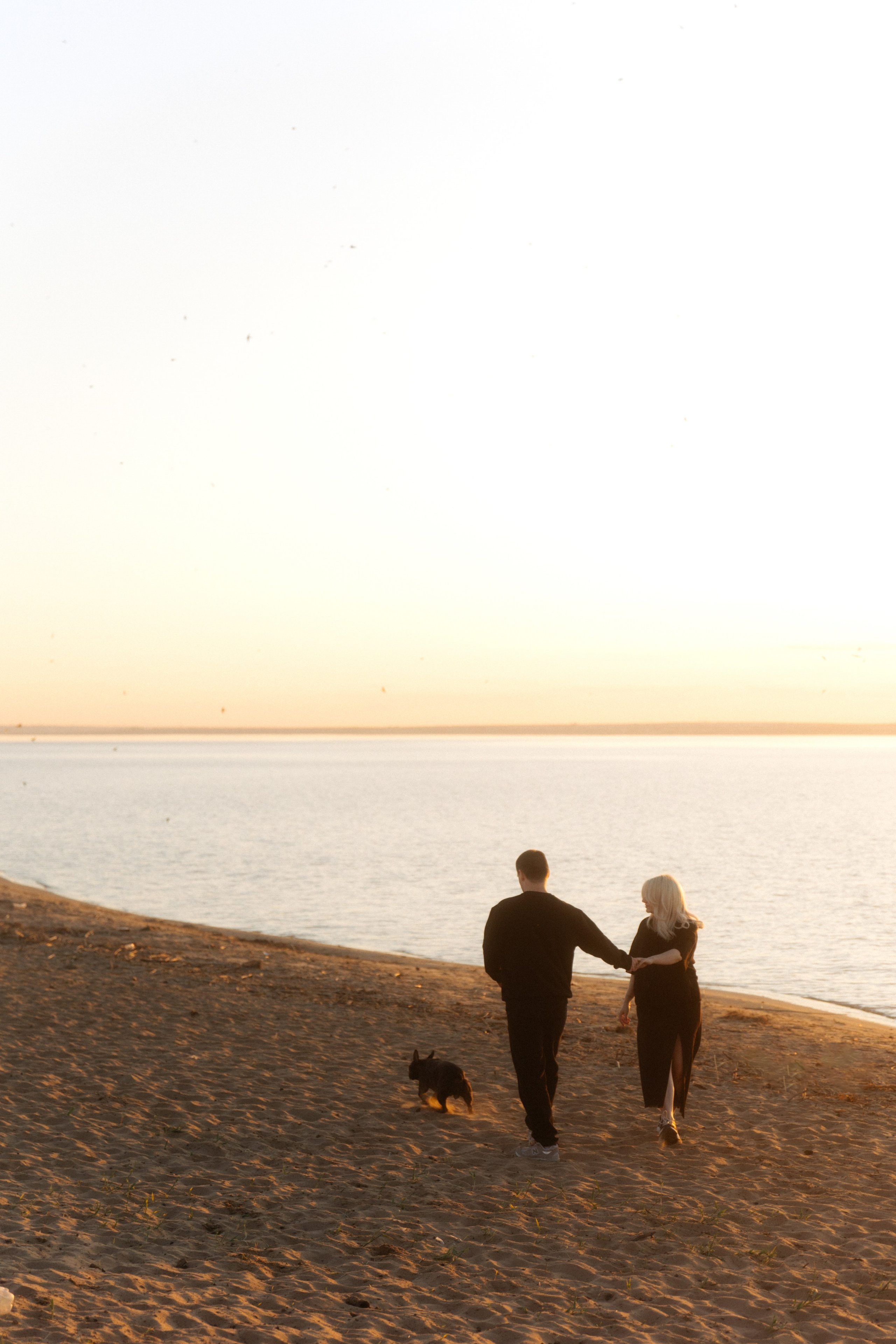 Ласточки. Свадебный и семейный фотограф Юлия Сафронова