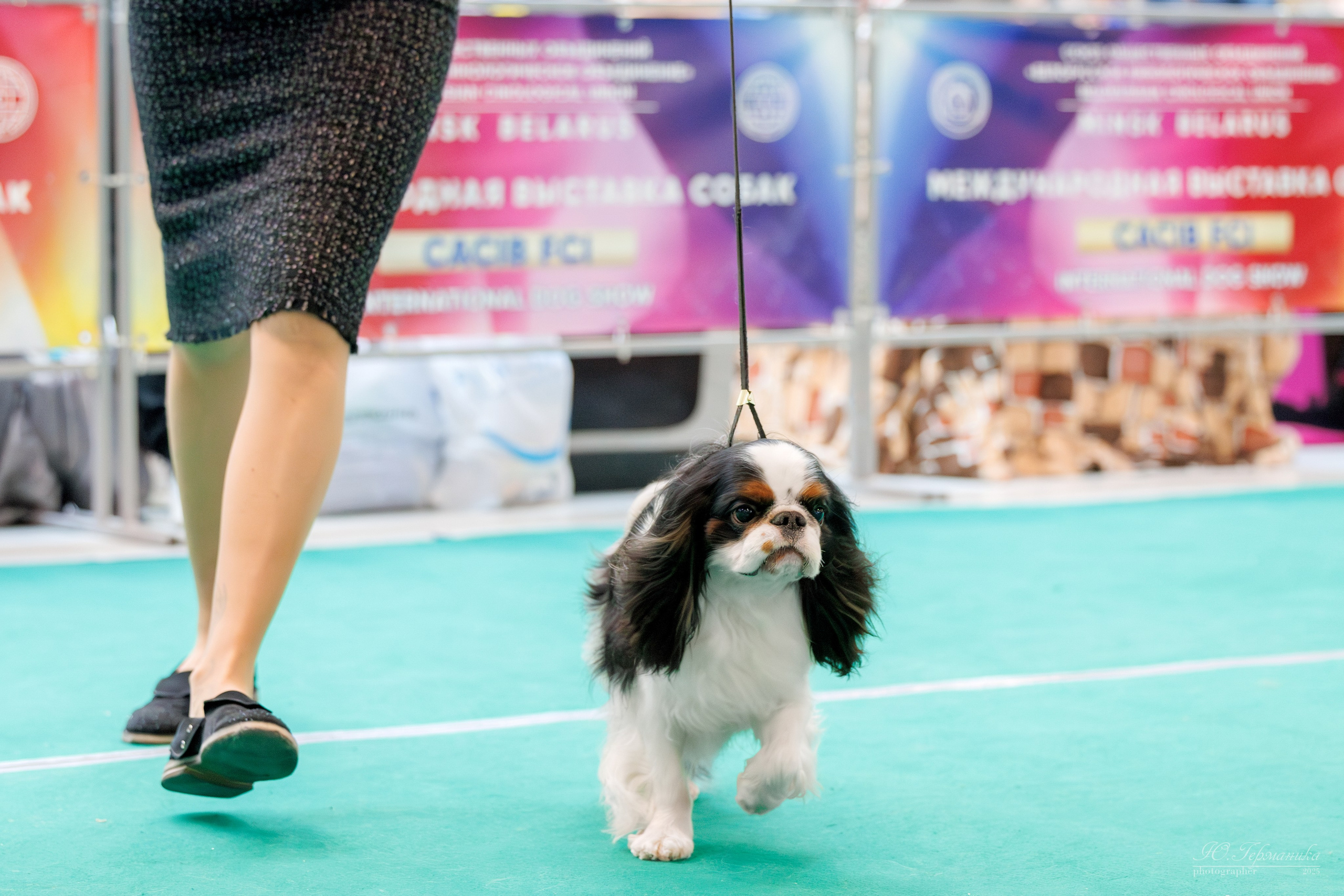 Минск 1-2.03.2025. Фотограф-анималист Юлия Германика
