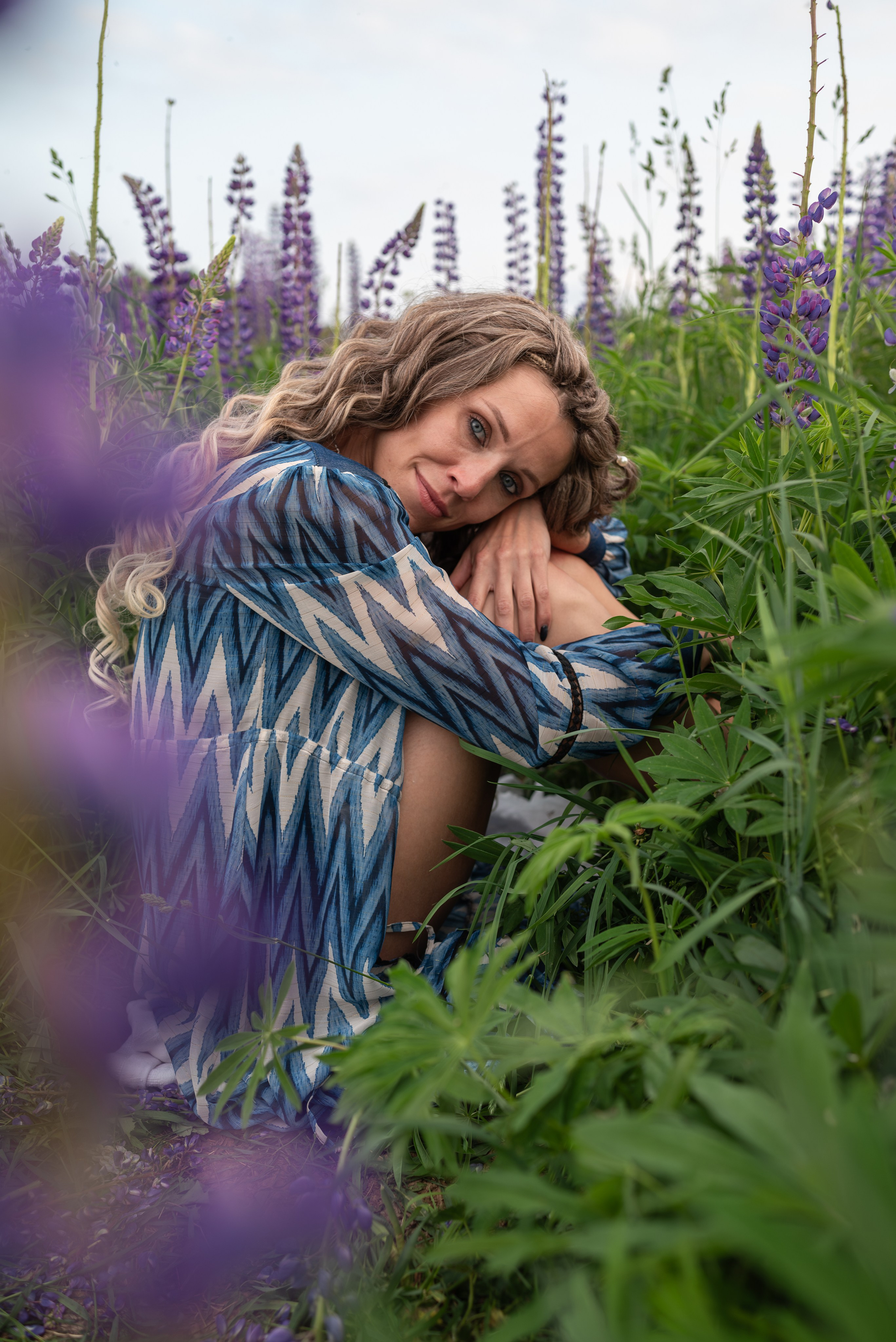 Люпины. Светлана Агалакова Фотограф