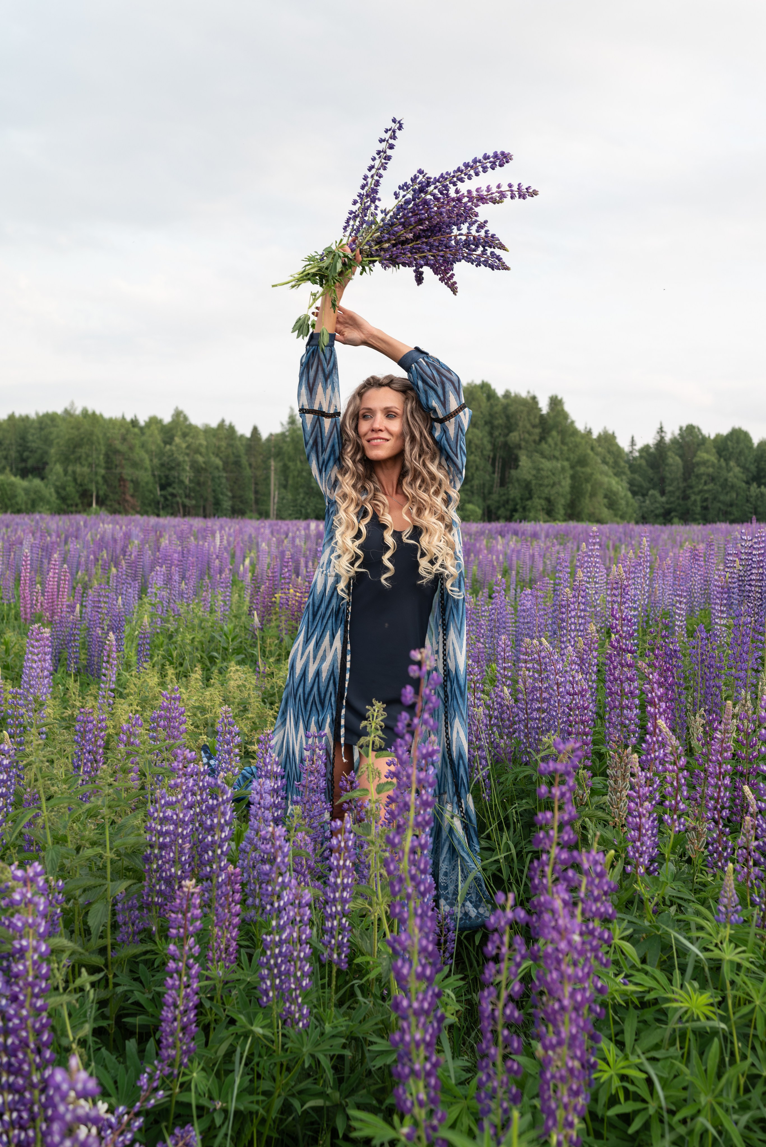 Люпины. Светлана Агалакова Фотограф