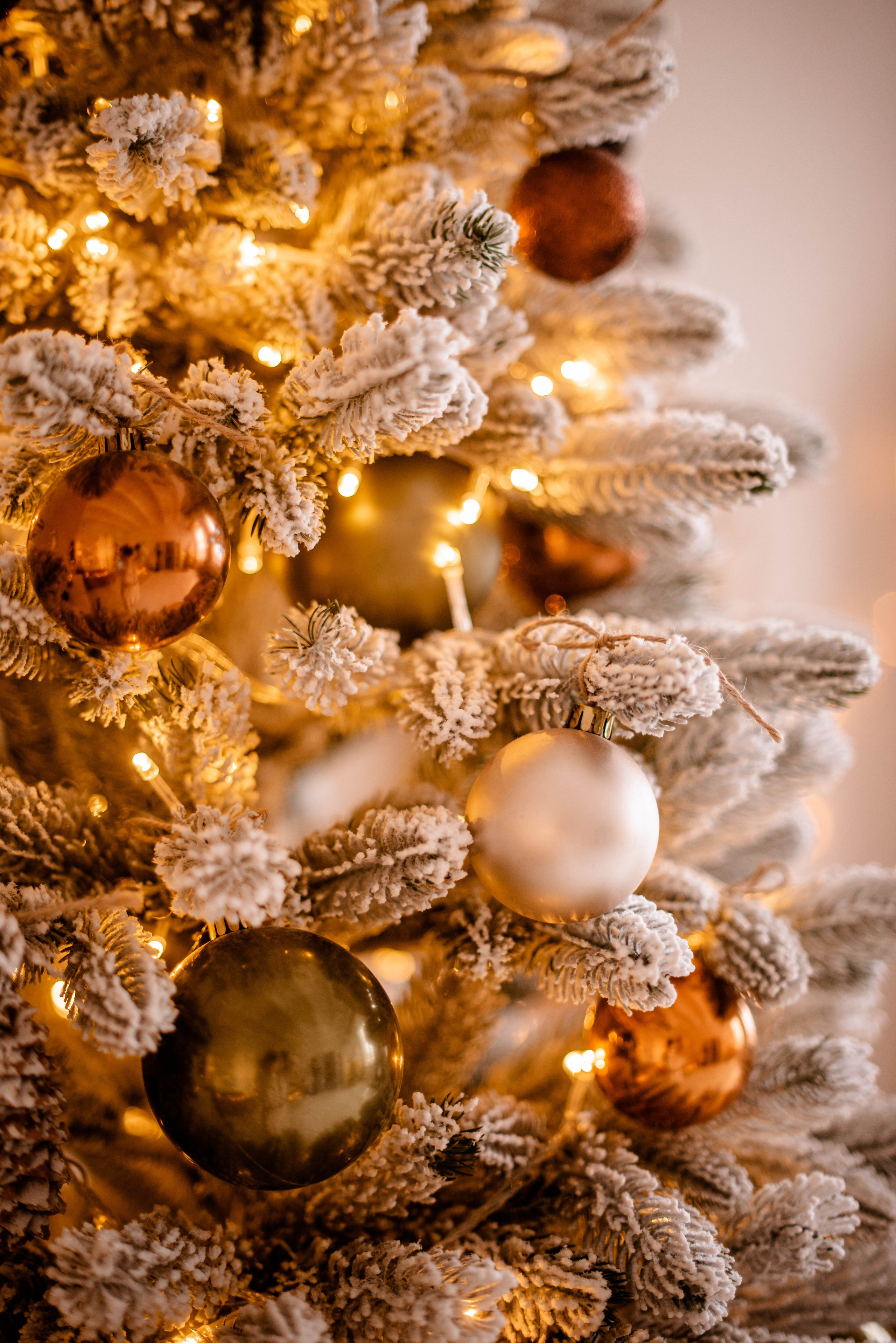 Семья. Свадебный Фотограф в Твери Анастасия Булкина