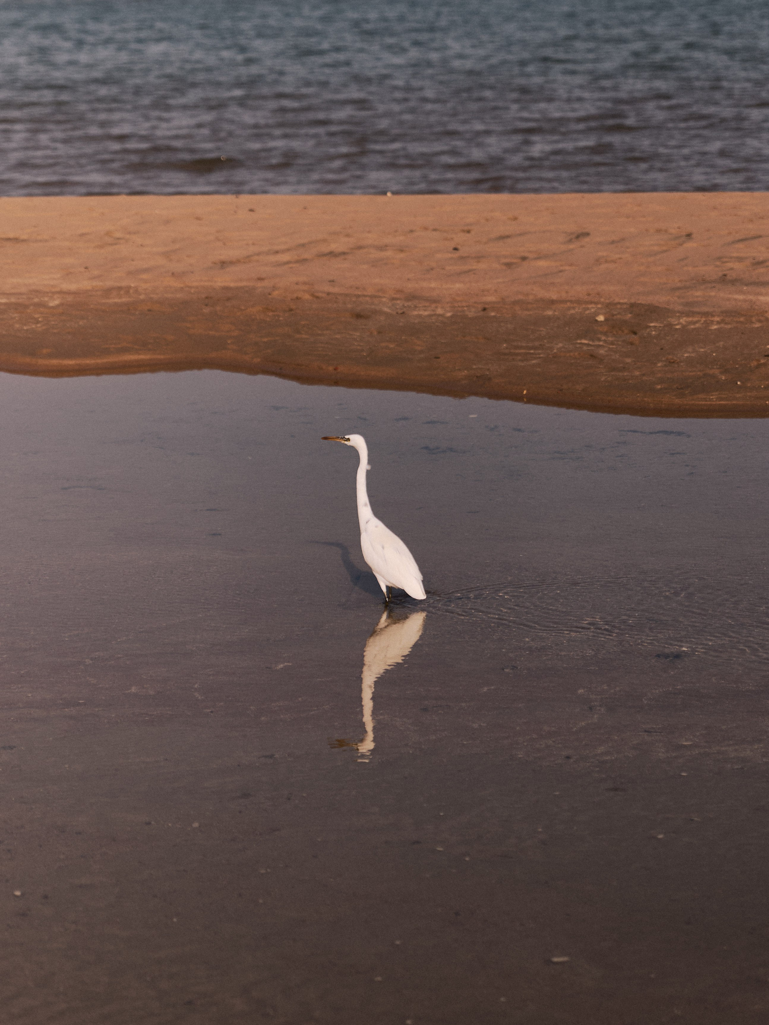 Природа. Jorgis Talè — photographer, kind person, teacher of arts and other mag