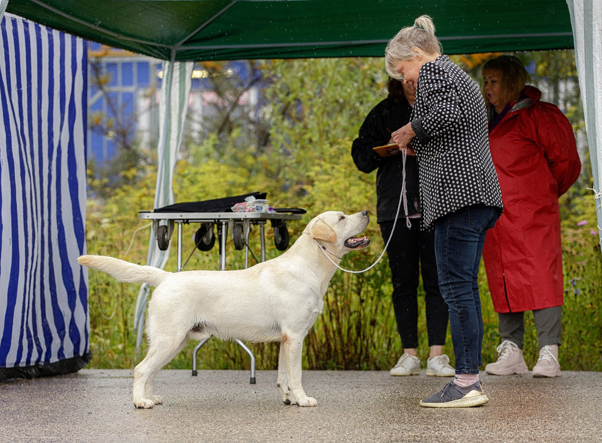 Выставки. Фотограф-анималист в Калуге Мария Шерскова