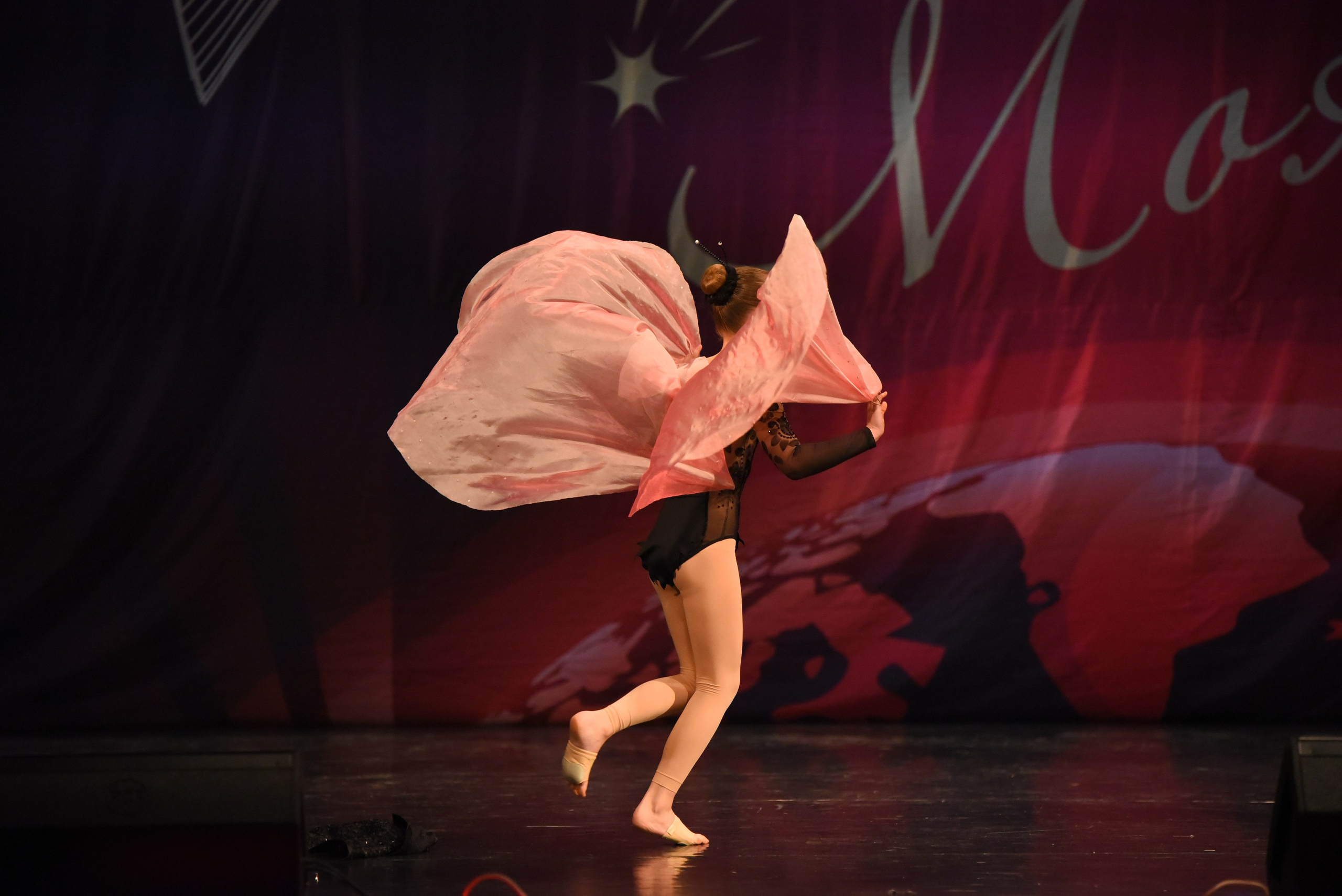 13 декабря, г. Калининград. Золотое яблочко