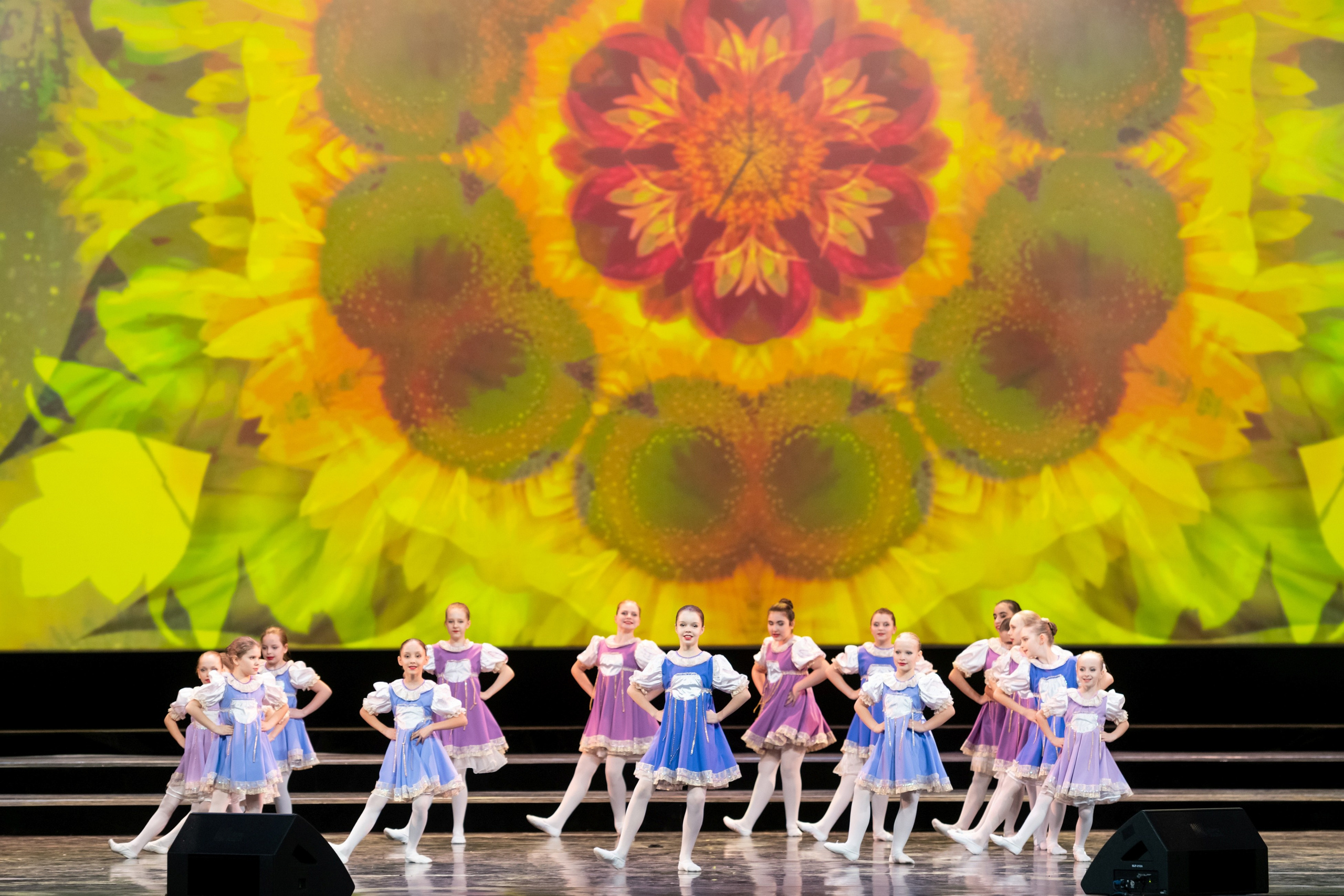 2 февраля, концерт Таланты России, Кремлевский Дворец. Золотое яблочко