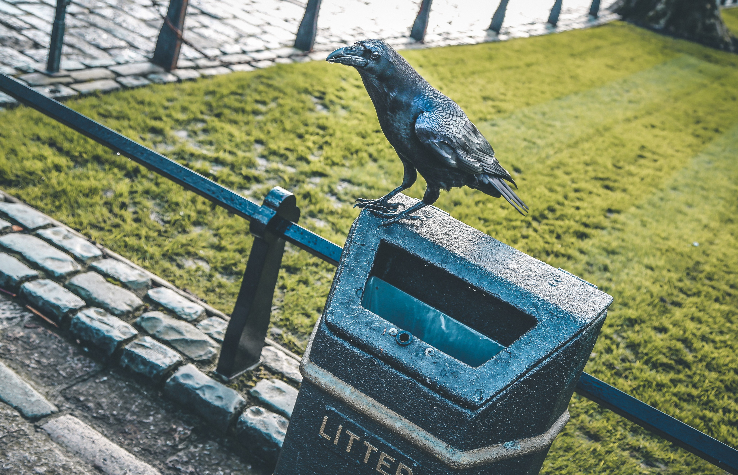 Англия: Лондон музейный. Дарья Письменюк / Darya Leitstern — фотограф, музыкант, журналист, путешественник