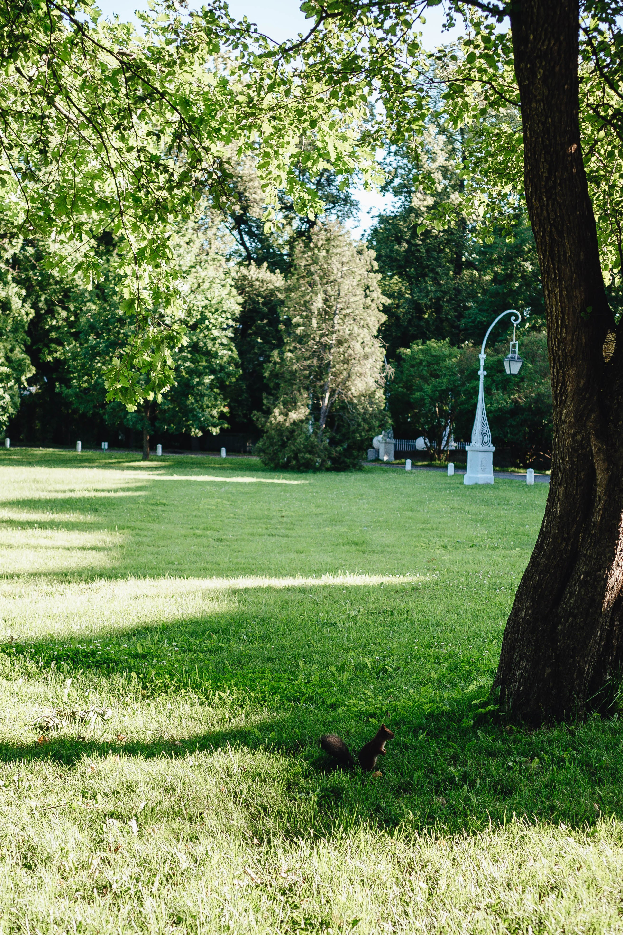 СВАДЕБНАЯ СЬЕМКА НА РАССВЕТЕ НА ЕЛАГИНОМ ОСТОРОВЕ. Профессиональный фотограф, Санкт-Петербург — Виктория Богомолова