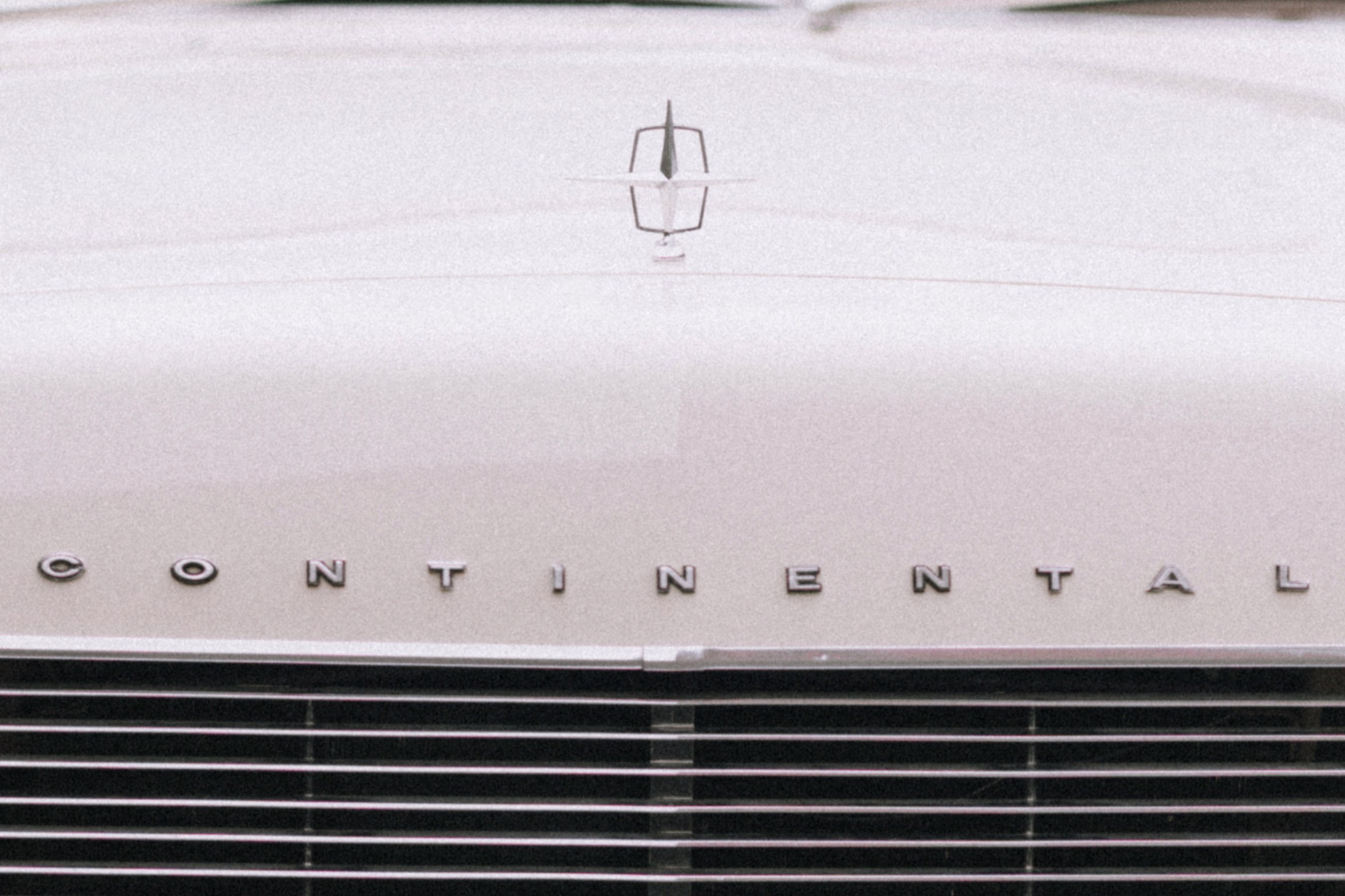 Антон Даша. Фотограф Артем Котелевец