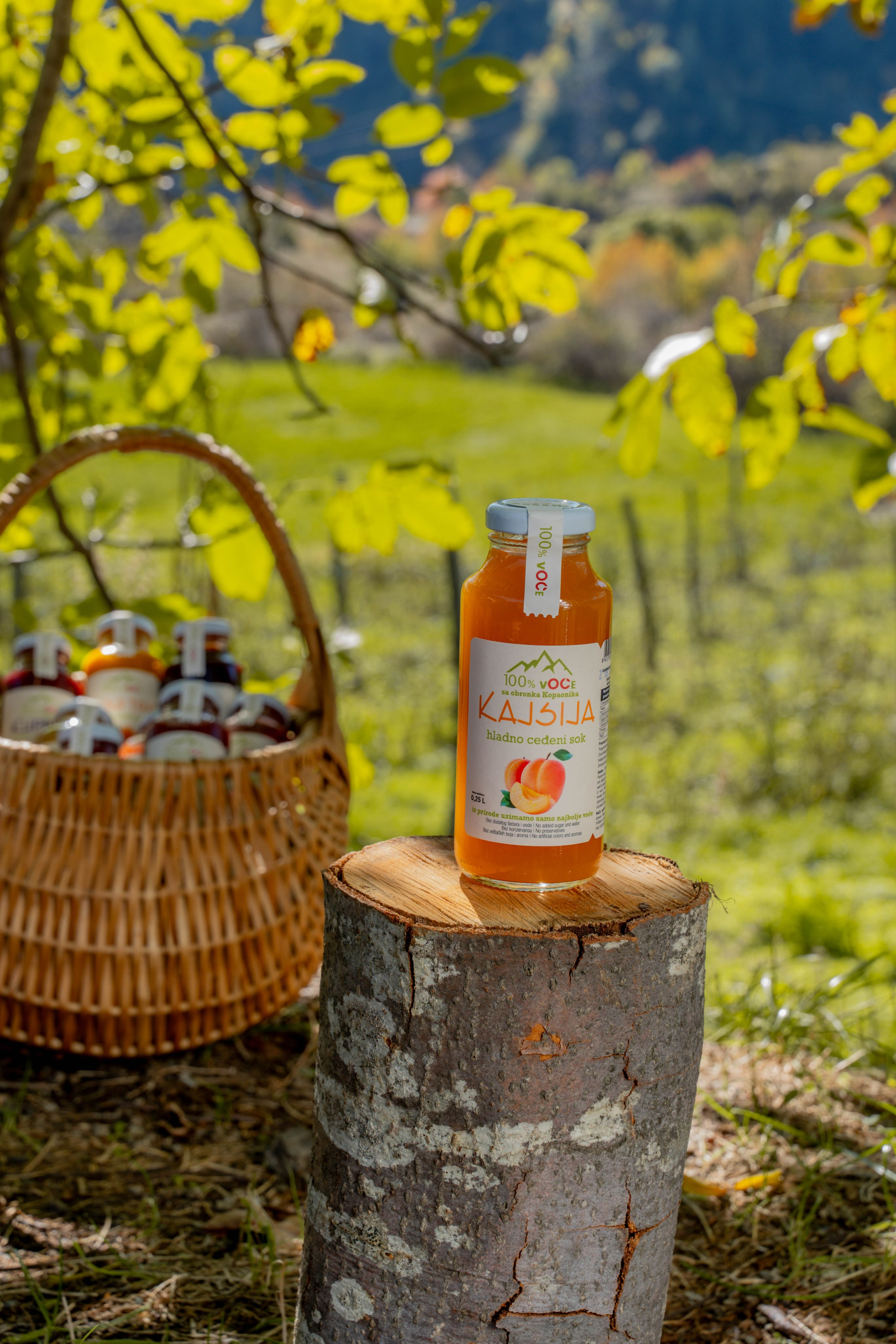 Green juice. Photographer Liana Sudets Serbia Kopaonik Brzece Brus