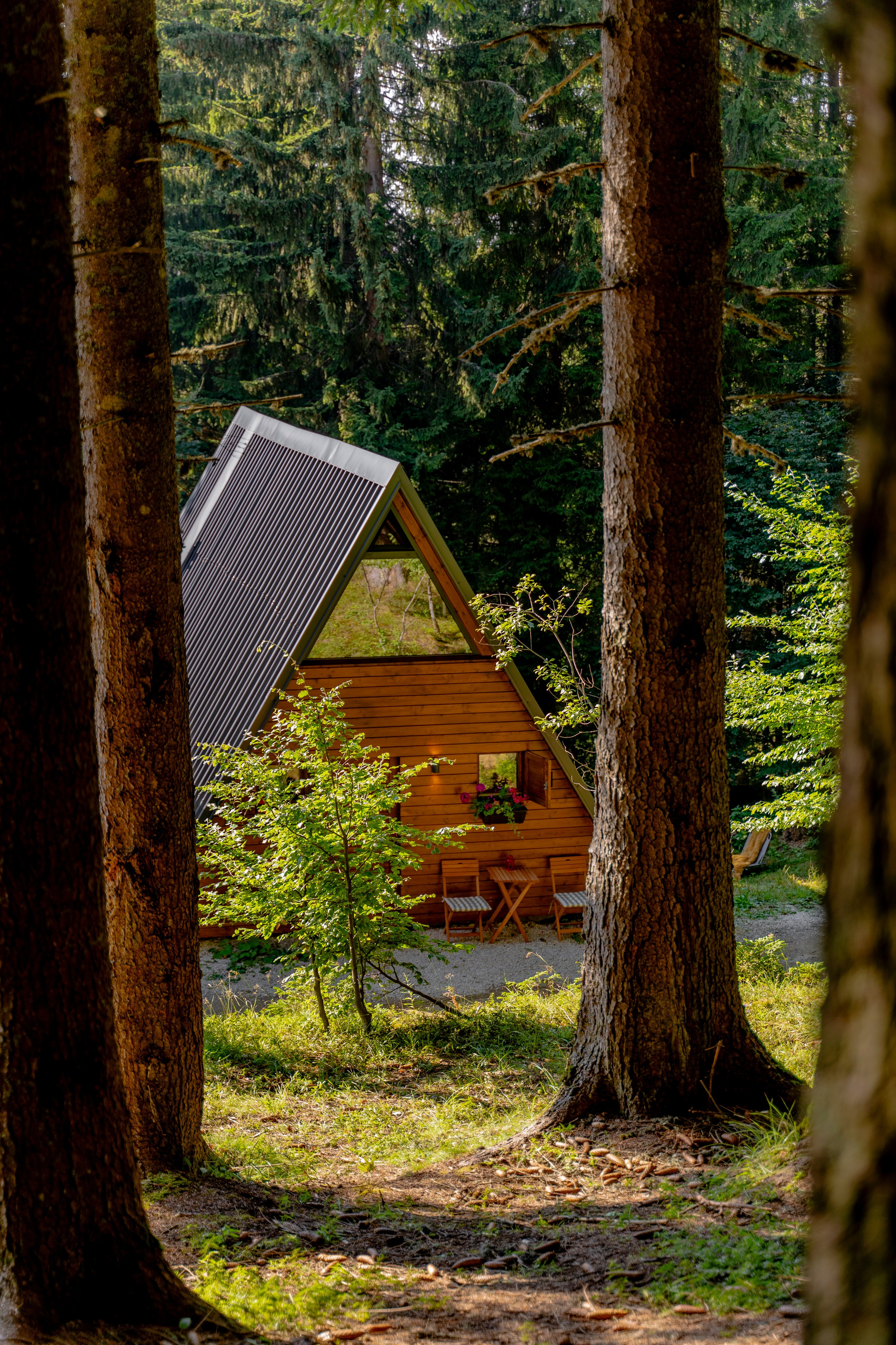 Viktorija Chalet. Photographer Liana Sudets Serbia Kopaonik Brzece Brus