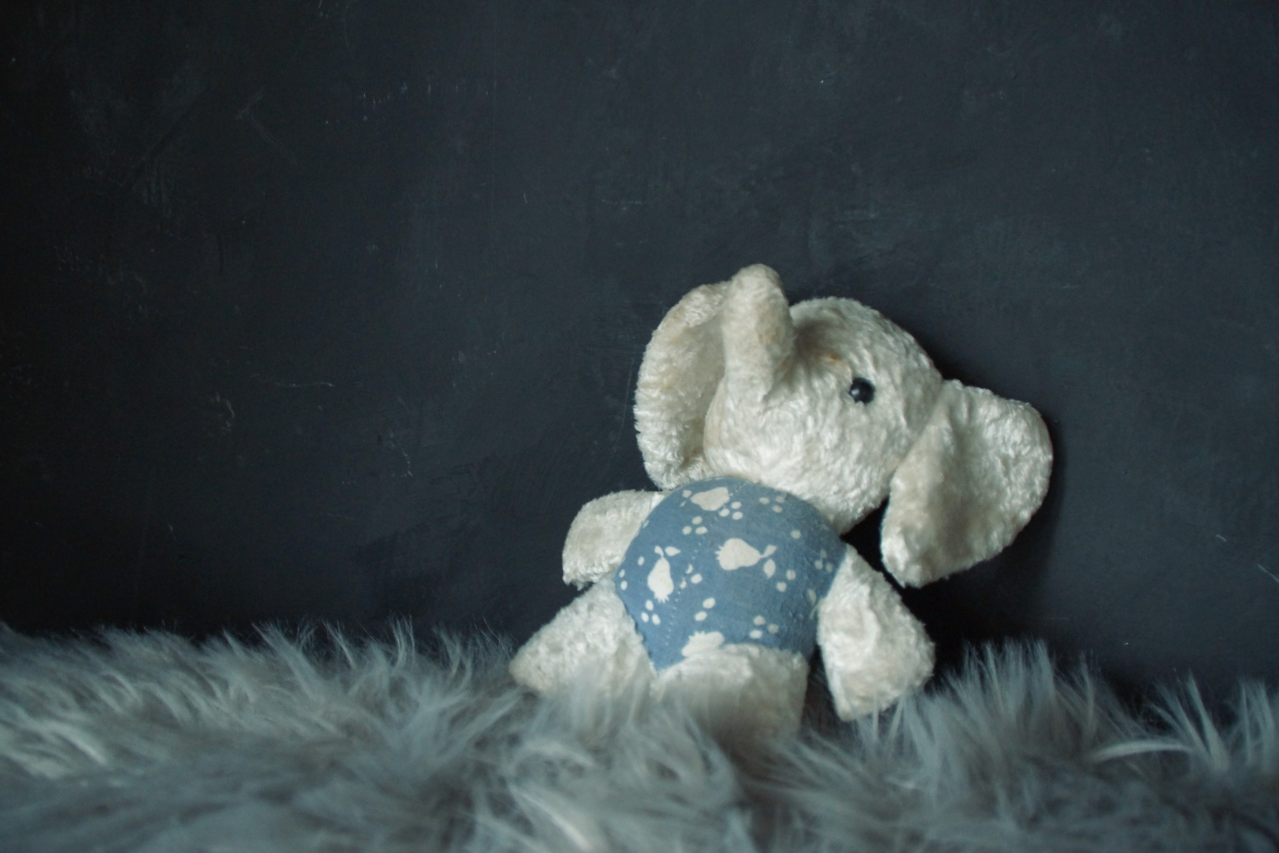 Работы фотографа Юлия Стремского. Фотография Стремского