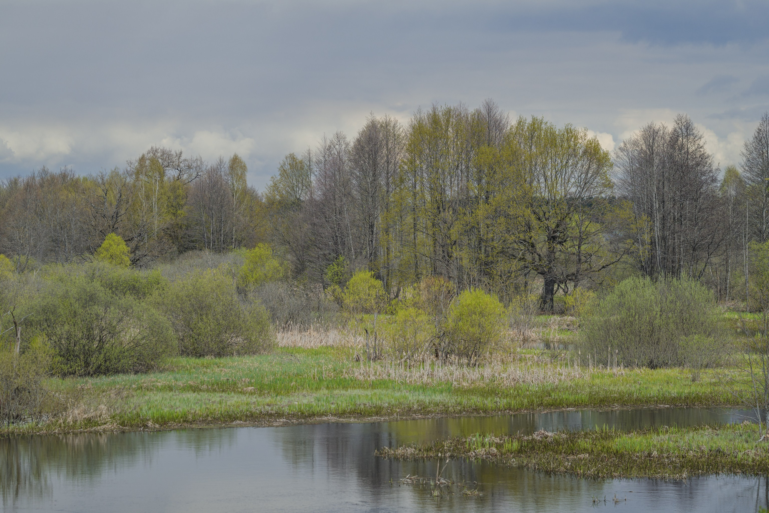 Водный поход 1-й кс по реке Случь. Репортажный фотограф Владимир Беляй