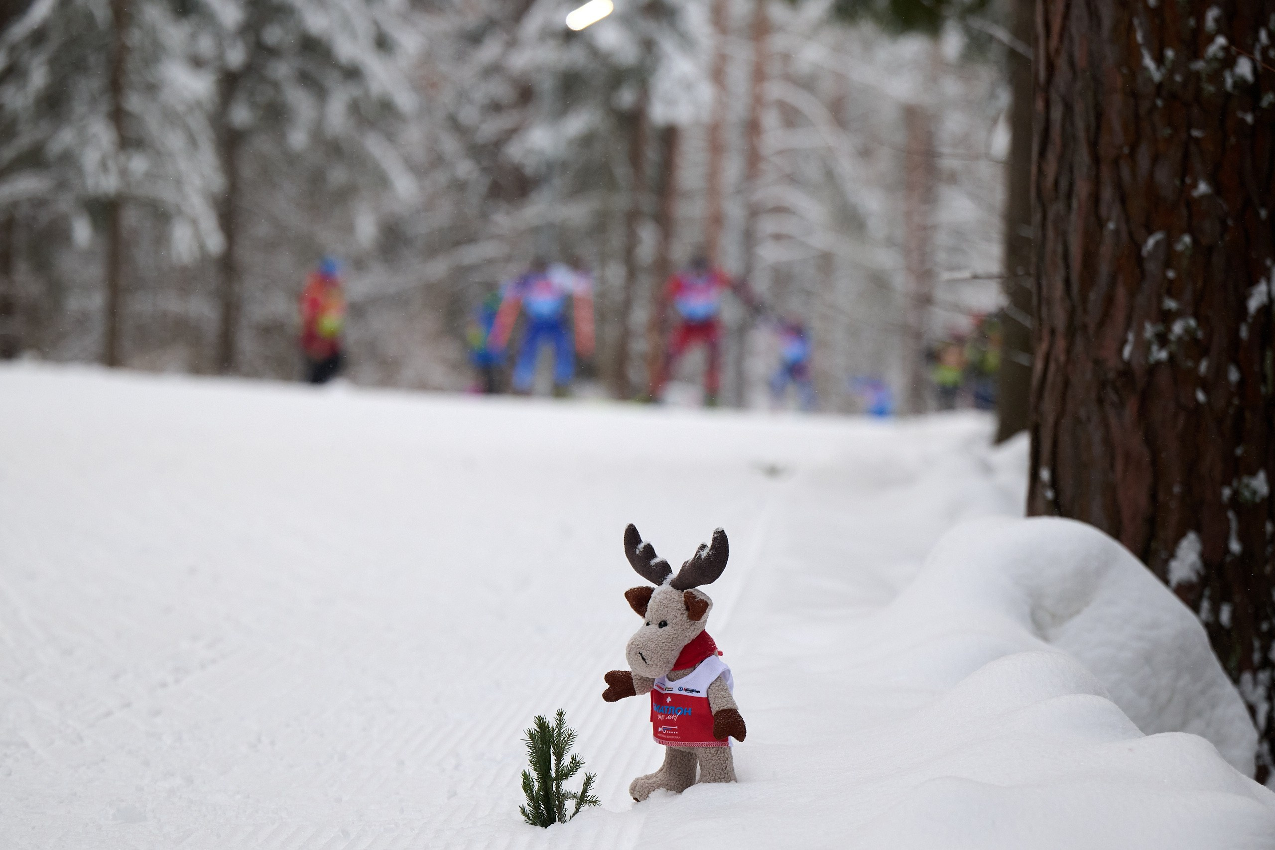 Биатлон. Чемпионат России — 2024/2025, 3-й этап, Ижевск. Спринт. Мужчины. Спортивный репортажный фотограф в Ижевске Сергей Мерзляков