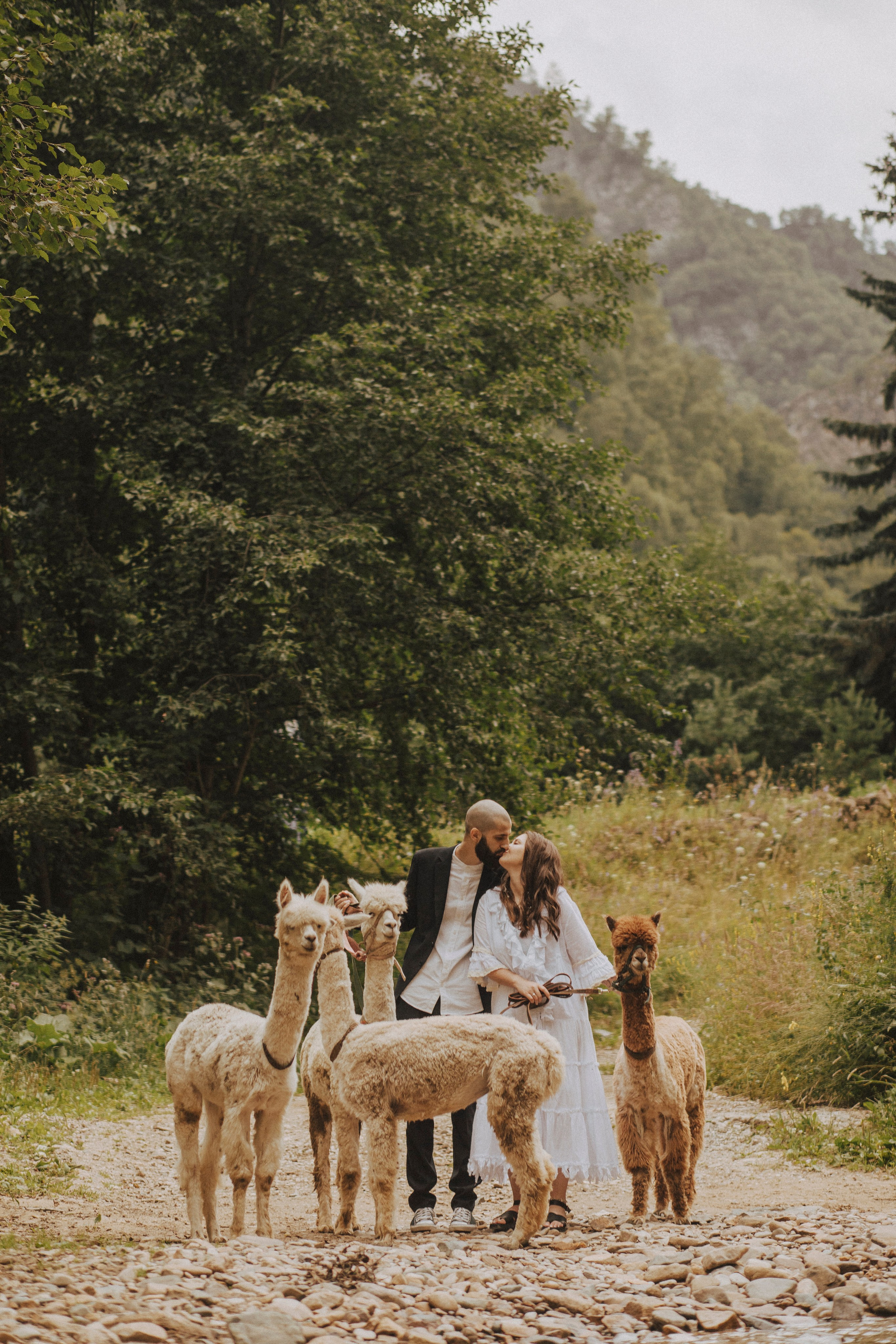TIGRAN & VICTORIA | KISLOVODSK. Фотограф Настя Конник | Пятигорск | Эльбрус | Домбай | Архыз