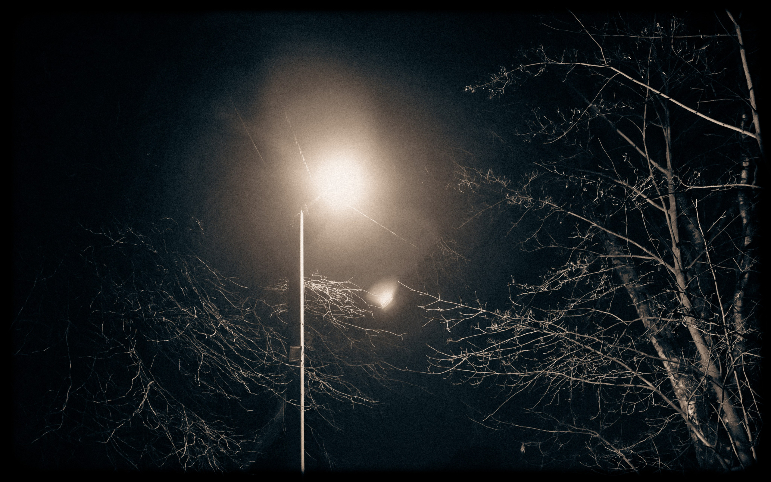 Из наблюдений. Плак или Квак