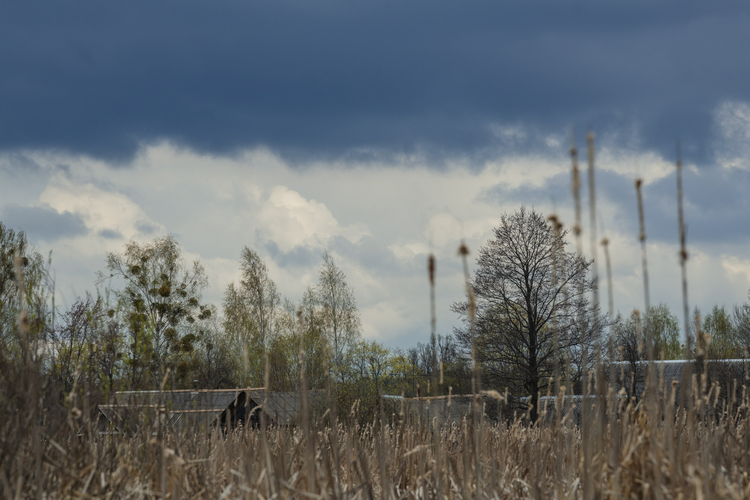 Водный поход 1-й кс по реке Случь. Репортажный фотограф Владимир Беляй