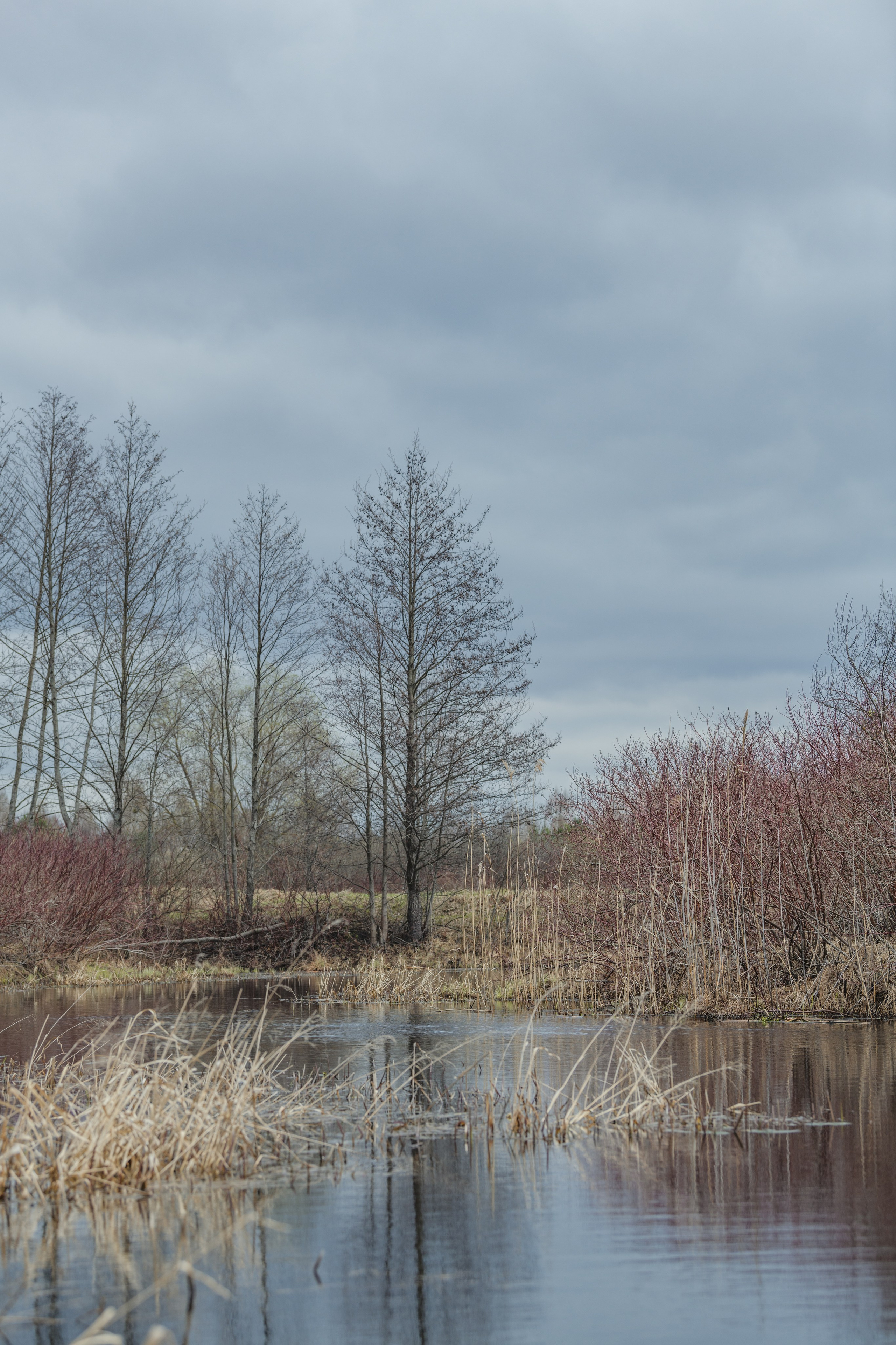 Разведка нового маршрута. Репортажный фотограф Владимир Беляй