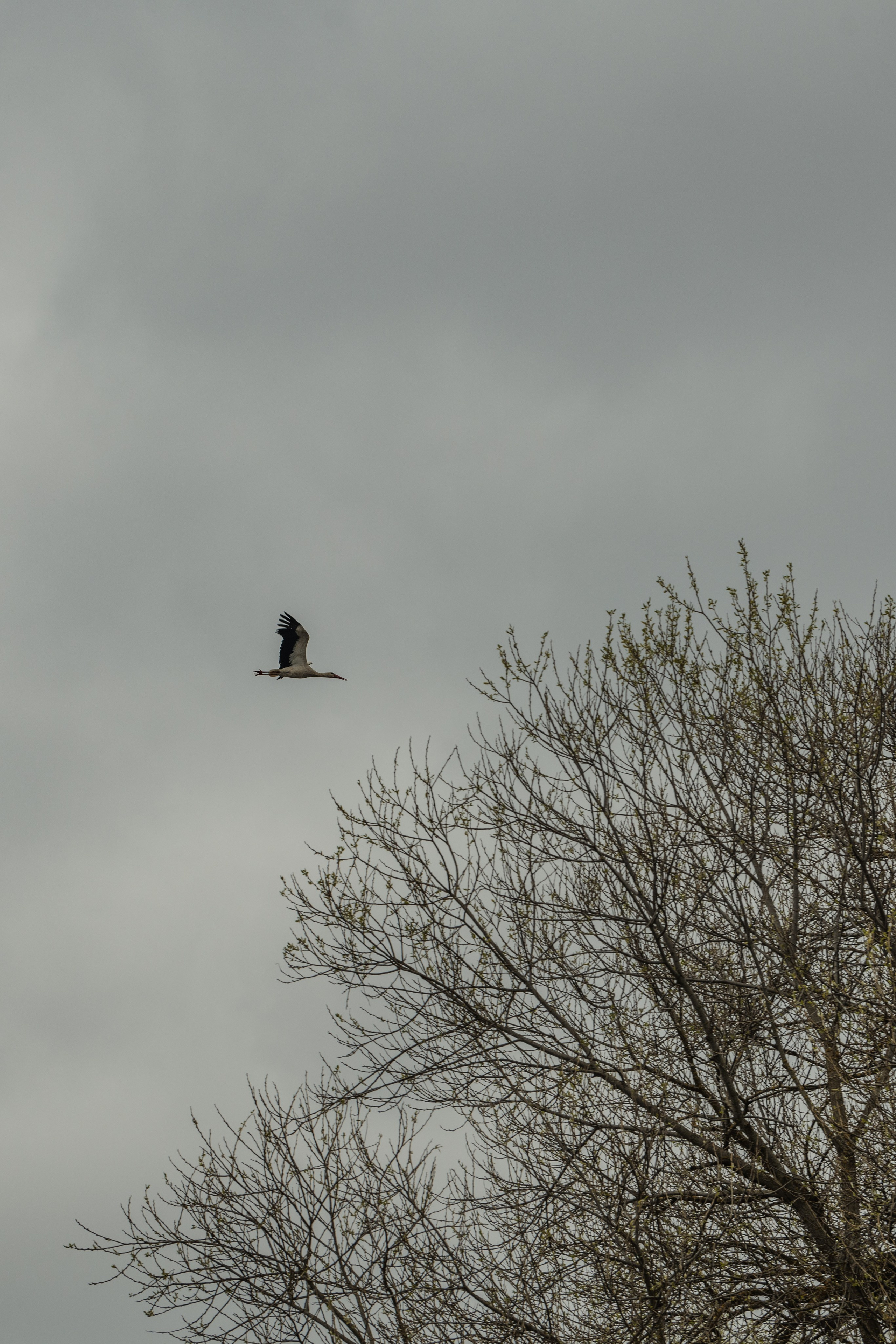 Разведка нового маршрута. Репортажный фотограф Владимир Беляй