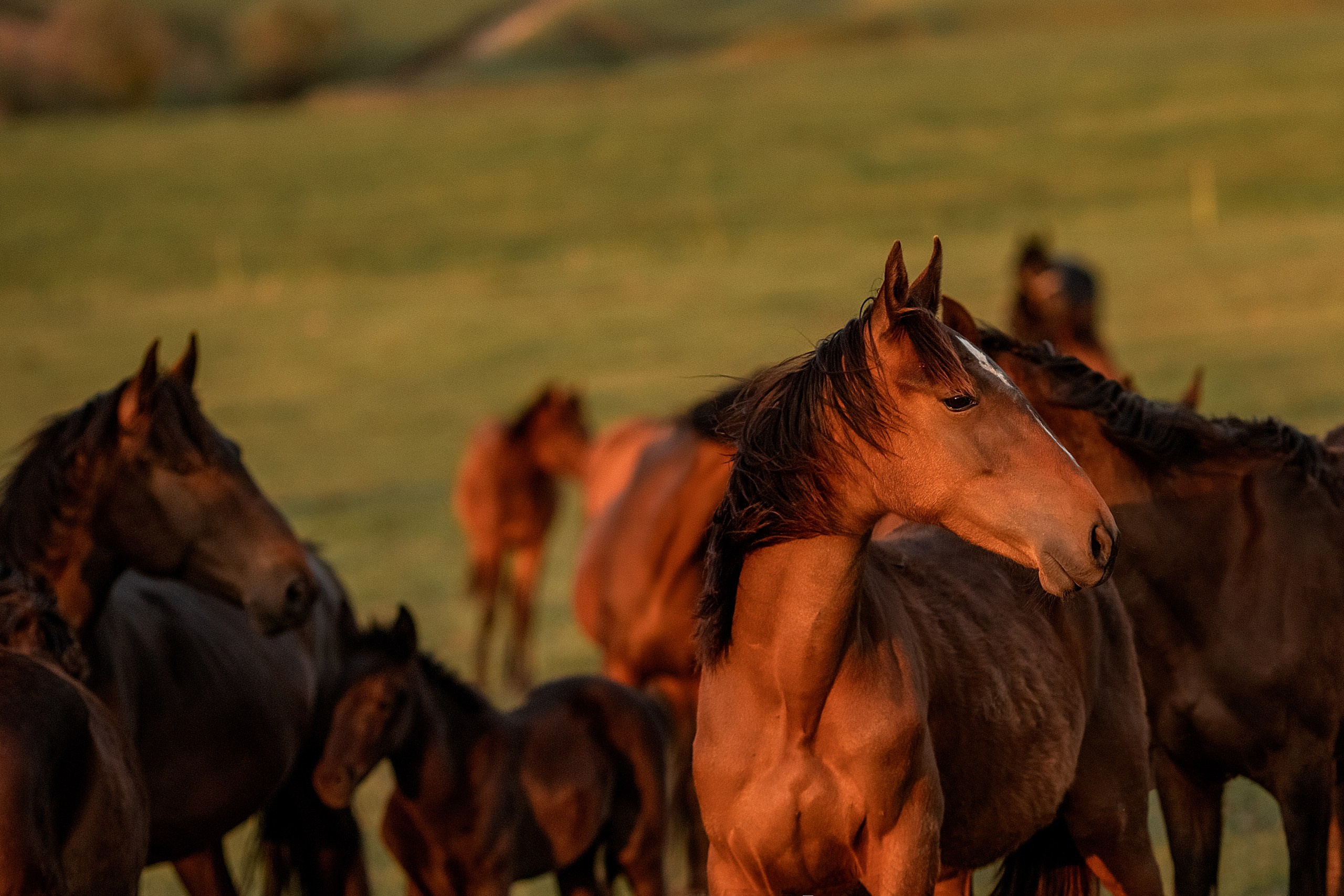 Майское закатное. BrisArts