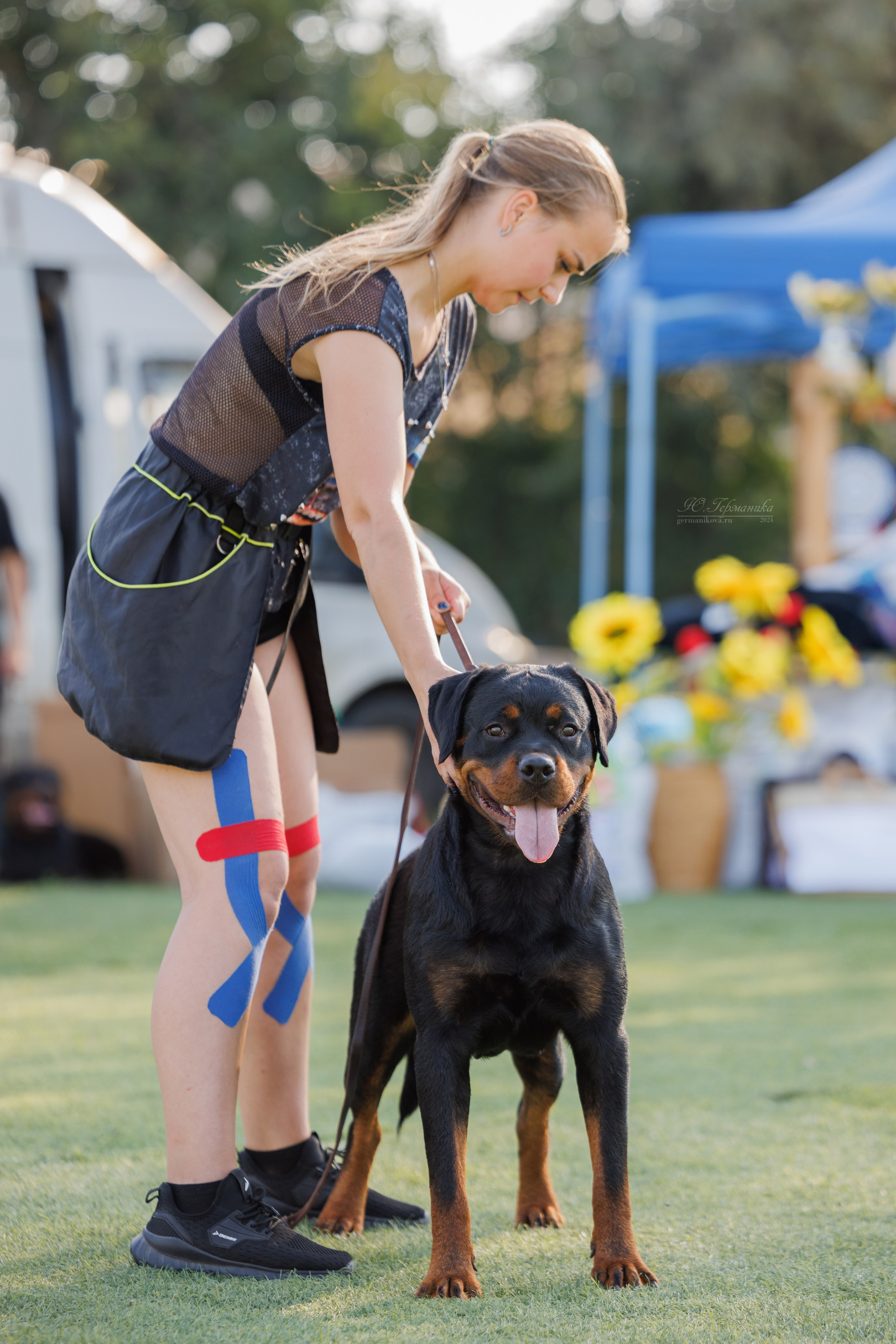 Анапа ротвейлеры 14-15.09.2024. Фотограф-анималист Юлия Германика