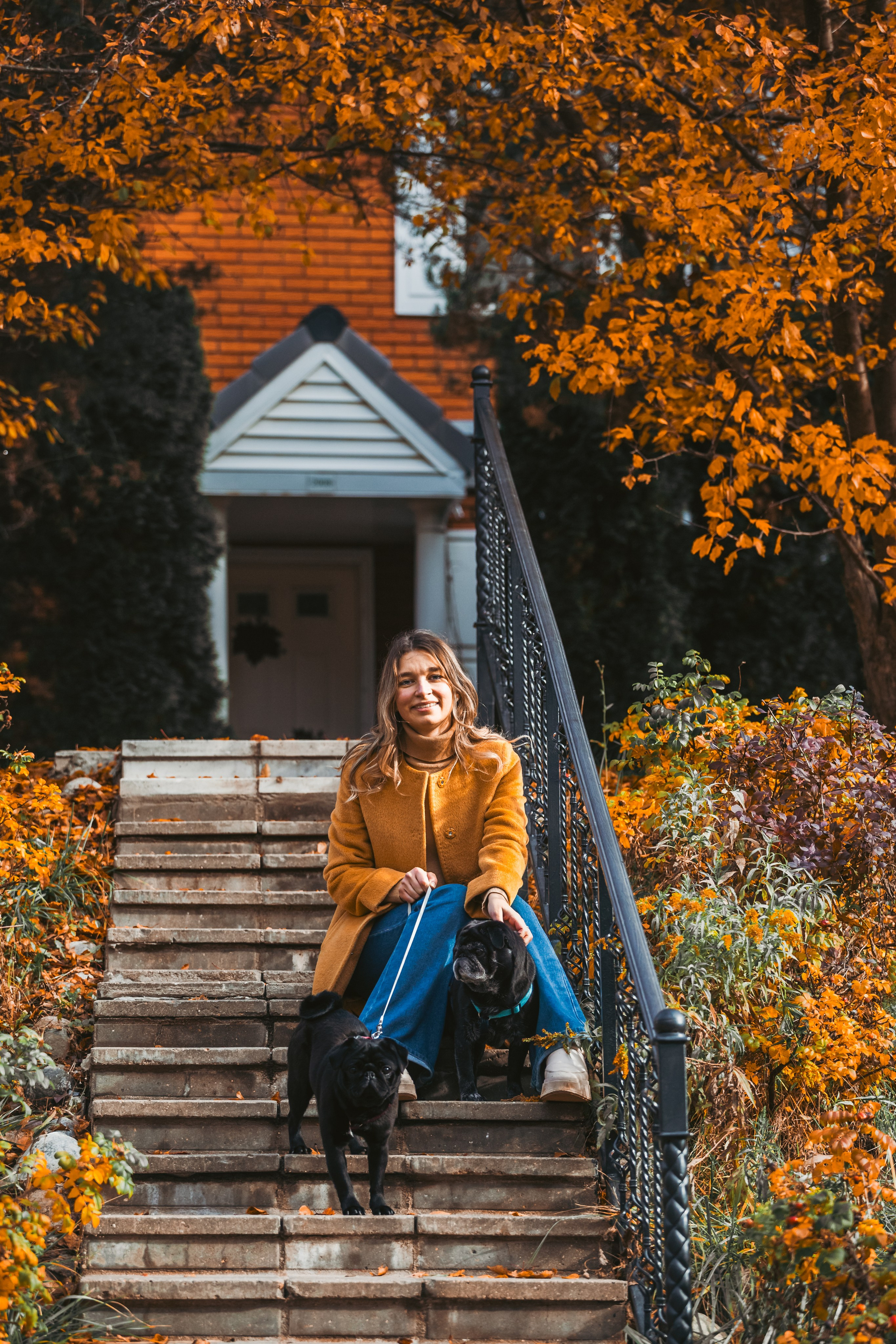Оля, Харви, Луис. Фотограф-анималист Татьяна Степанова