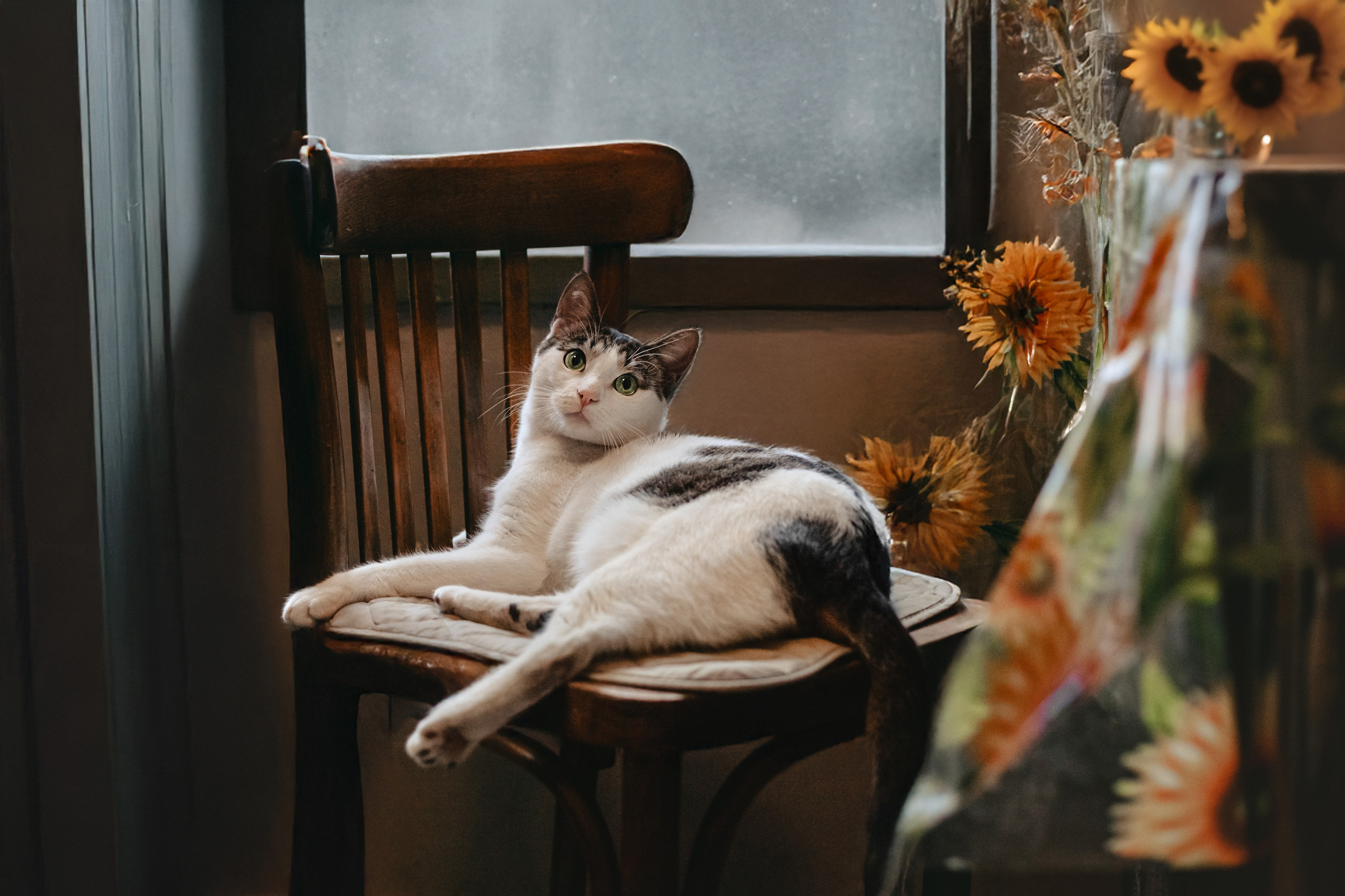 Фотограф-анималист Татьяна Степанова