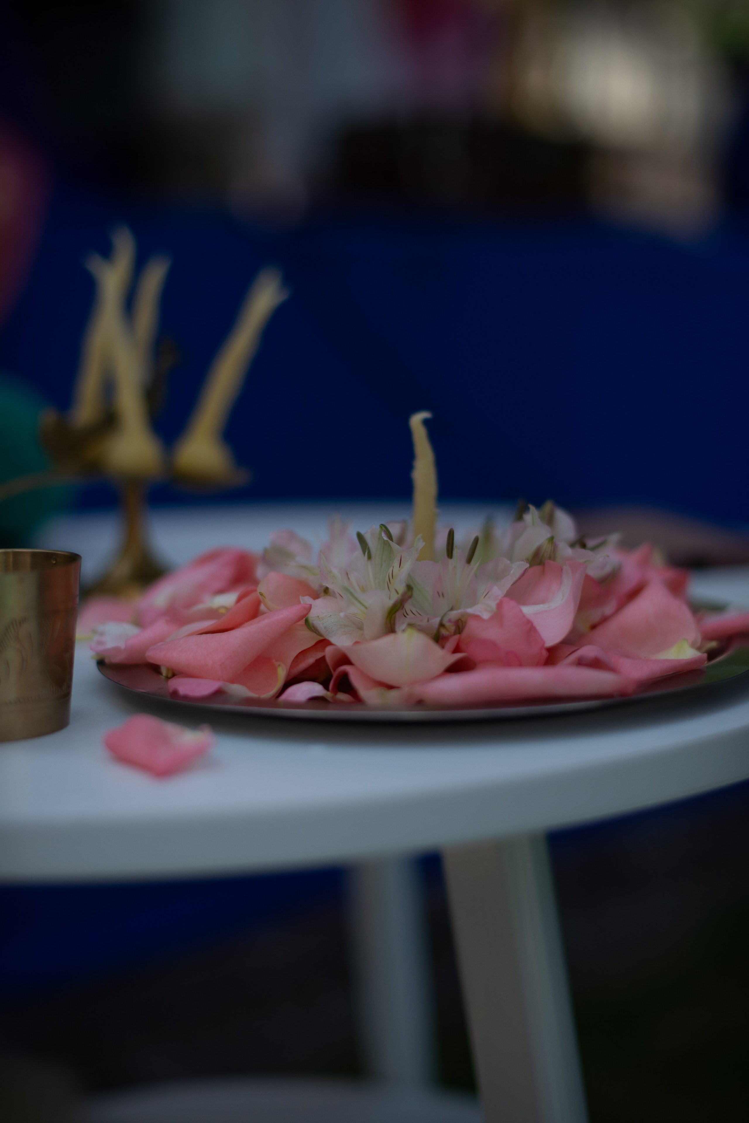 Посмотри День Йоги Санкт- Петербург 2025. Victoria Radjevna Репортажный Фотограф — Видеограф Москва • Санкт-Петербург