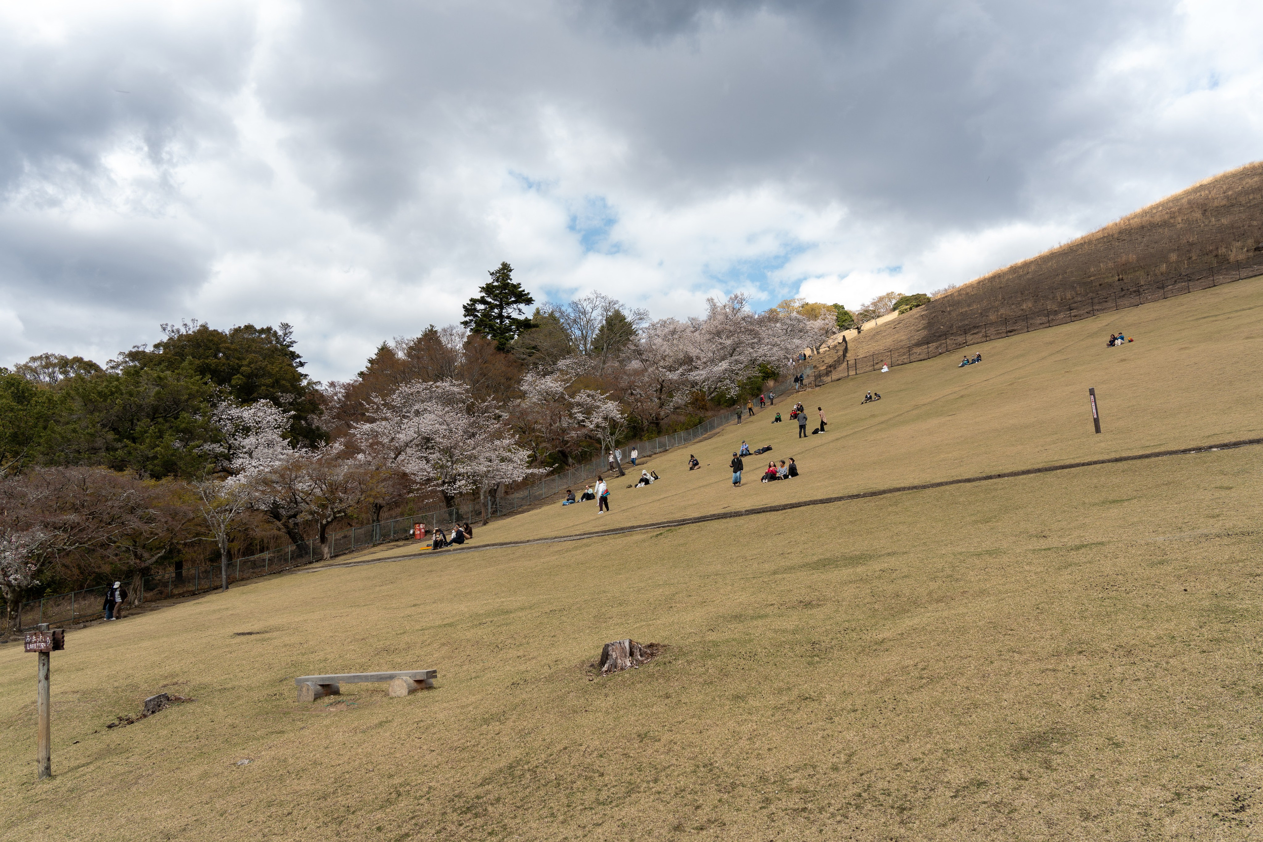 Япония, сакура. Творческие сьемки