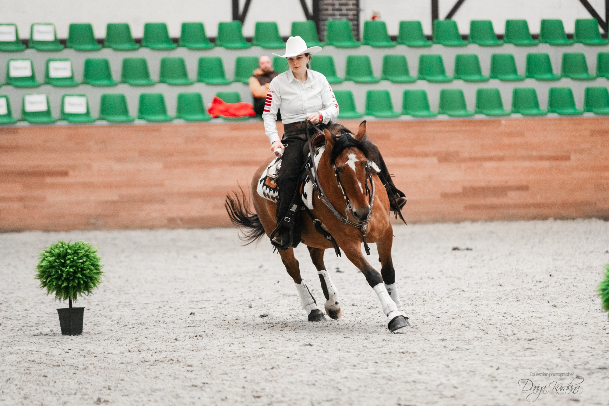 8-я международная выставка Конная Россия. Конный фотограф Куракина Дарья • Фотосессии с лошадьми