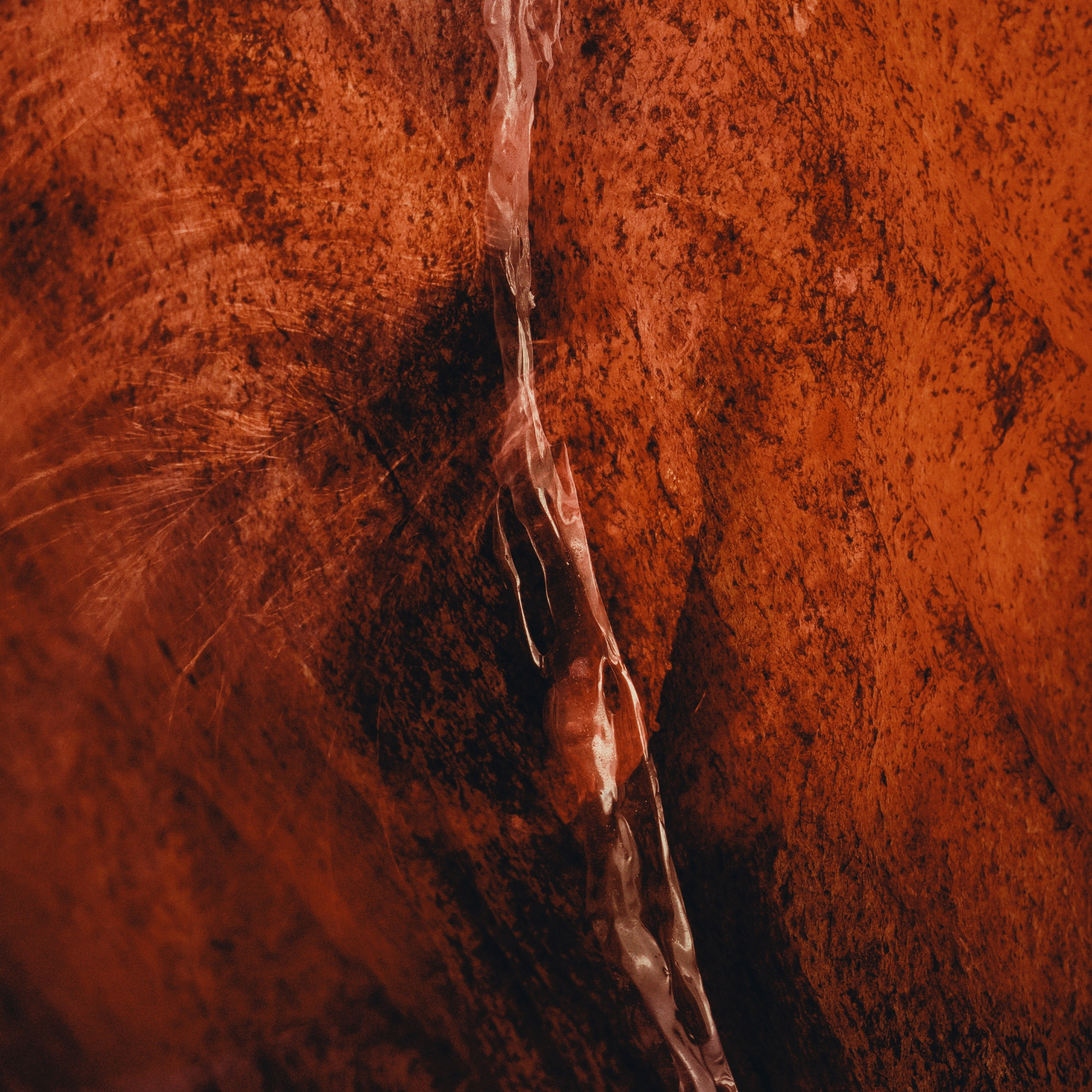 YONI LIKE A PORTAL. Atman Anastasi Art