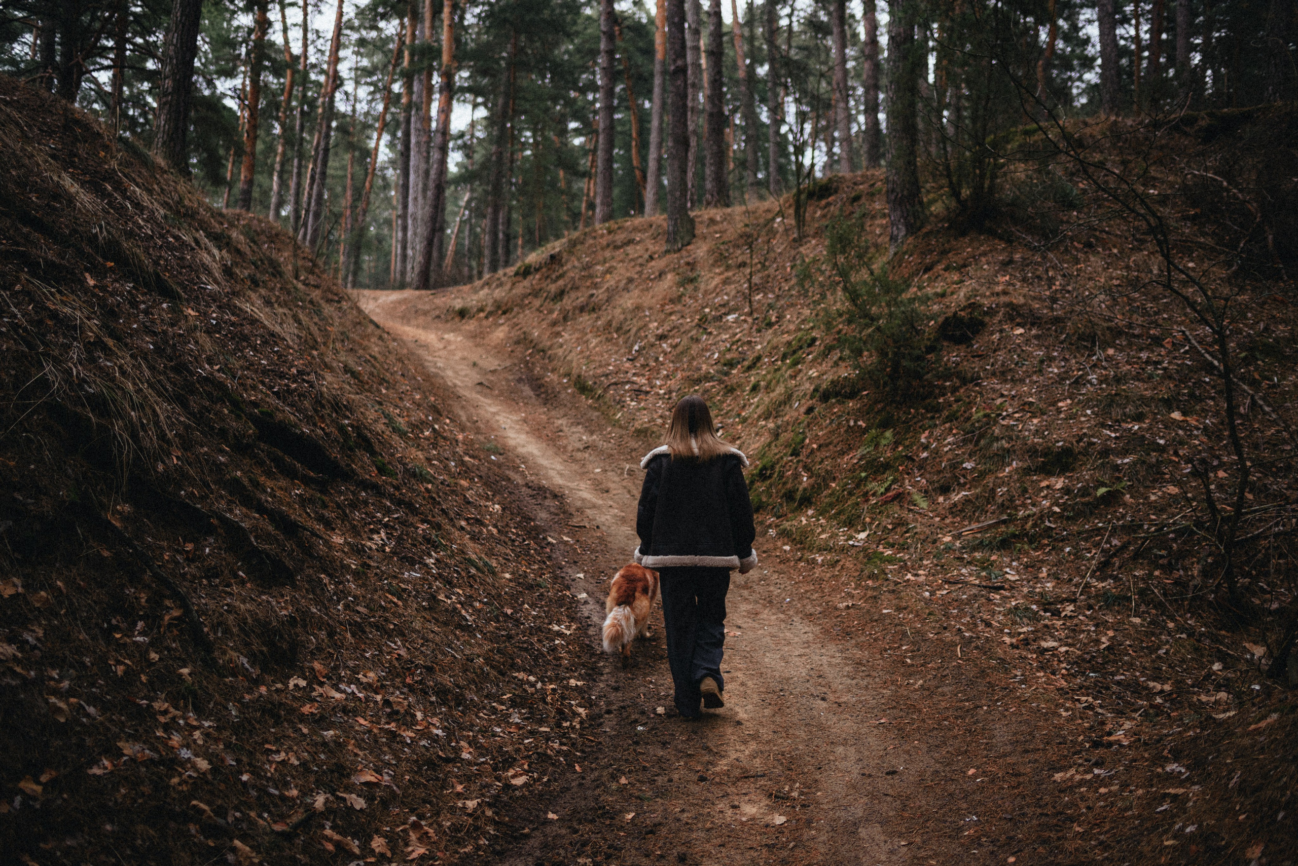 Илона и Челси. MariaGohri — Конный фотограф, анималист, Рязань