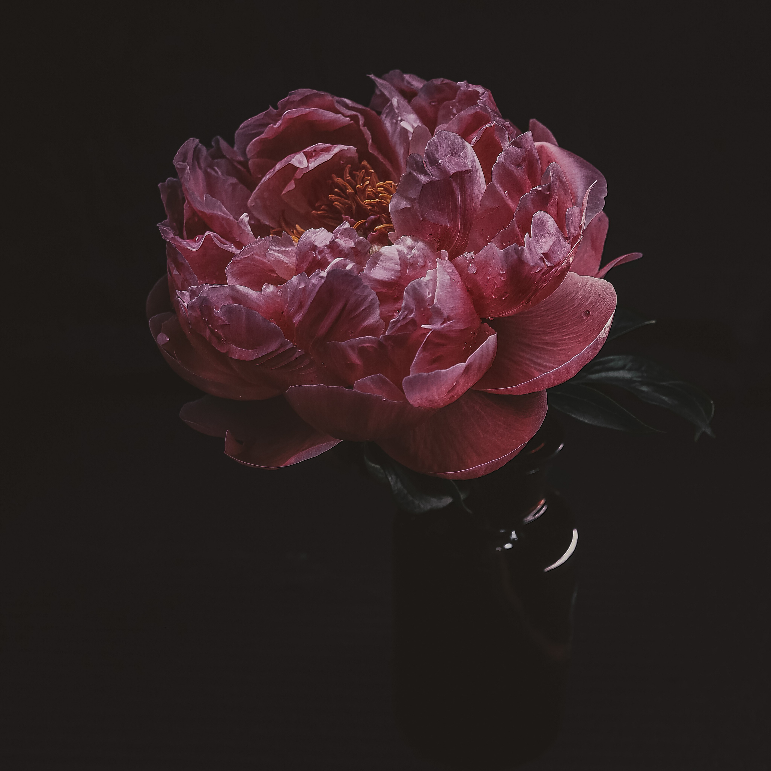 Природа &. Фотохудожник в СПб